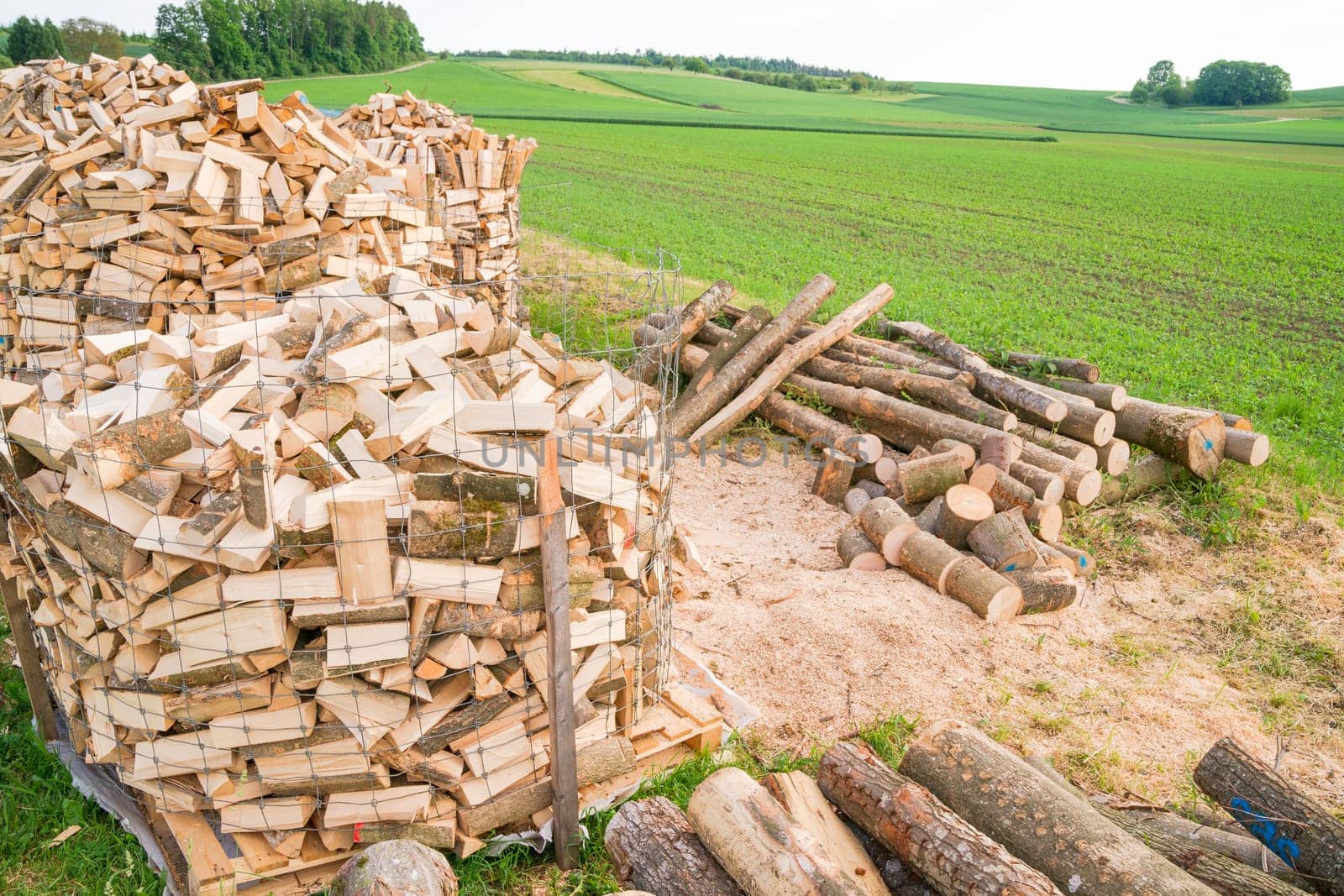Logs in a metal grid cage on a lumber yard