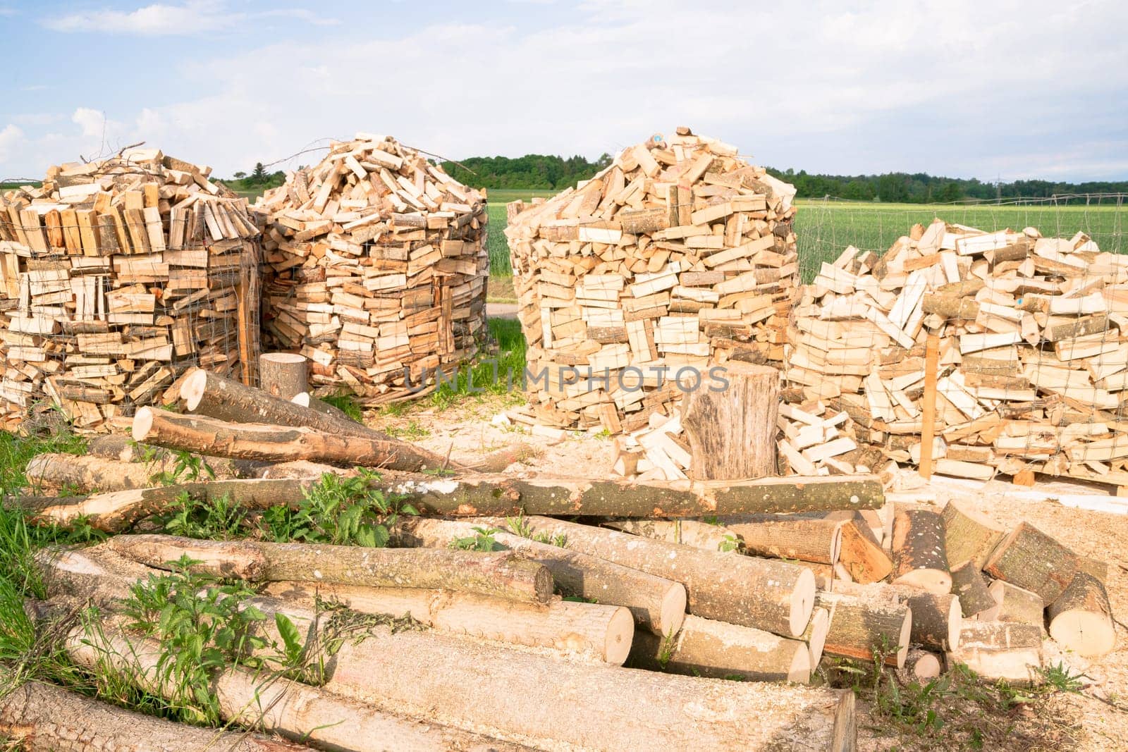 Timber logs on a lumberyard in a springtime field environment