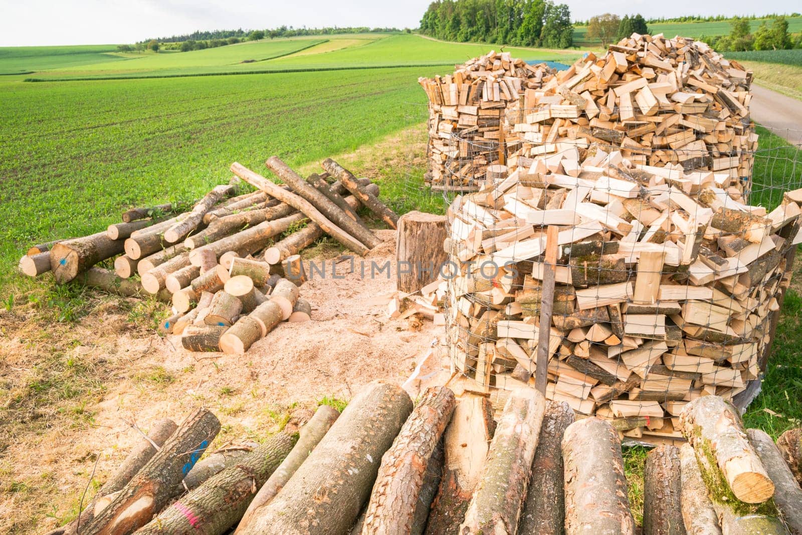 Timber logs on a lumberyard in a springtime field environment