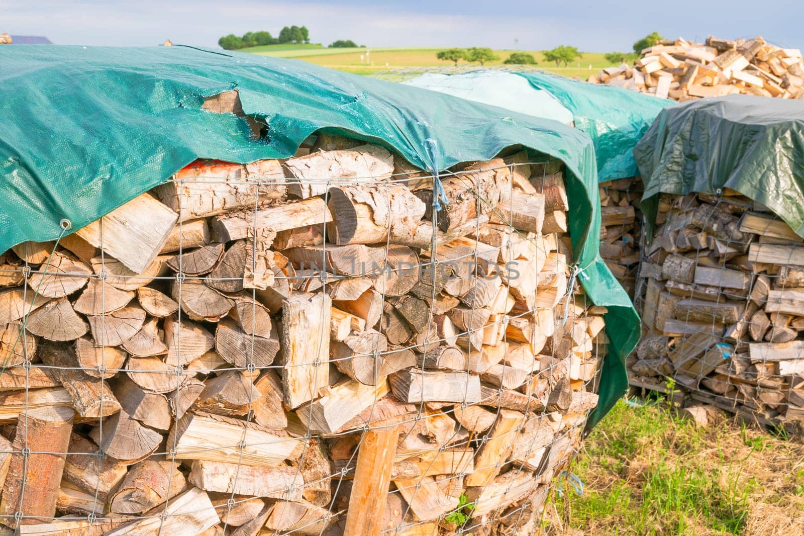 Logs in a metal grid cage covered by a plastic sheet on a lumber yard