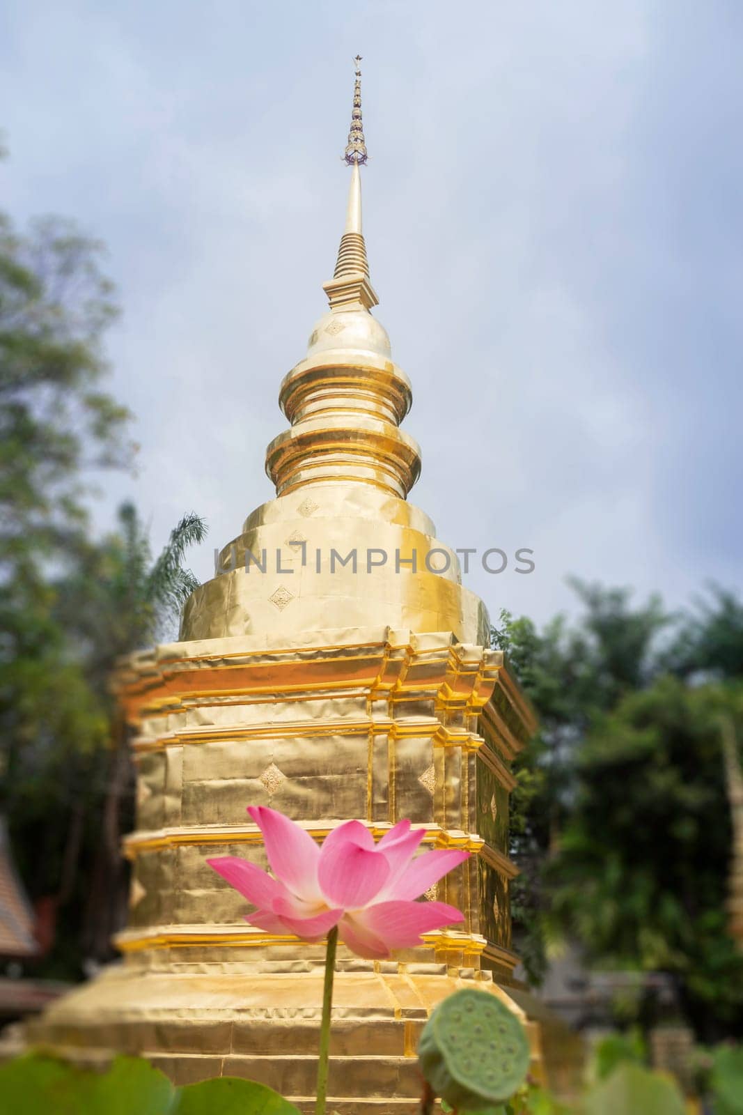 Wat Pra Singh beautiful temple in Chiang Mai, Thailand, stock photo