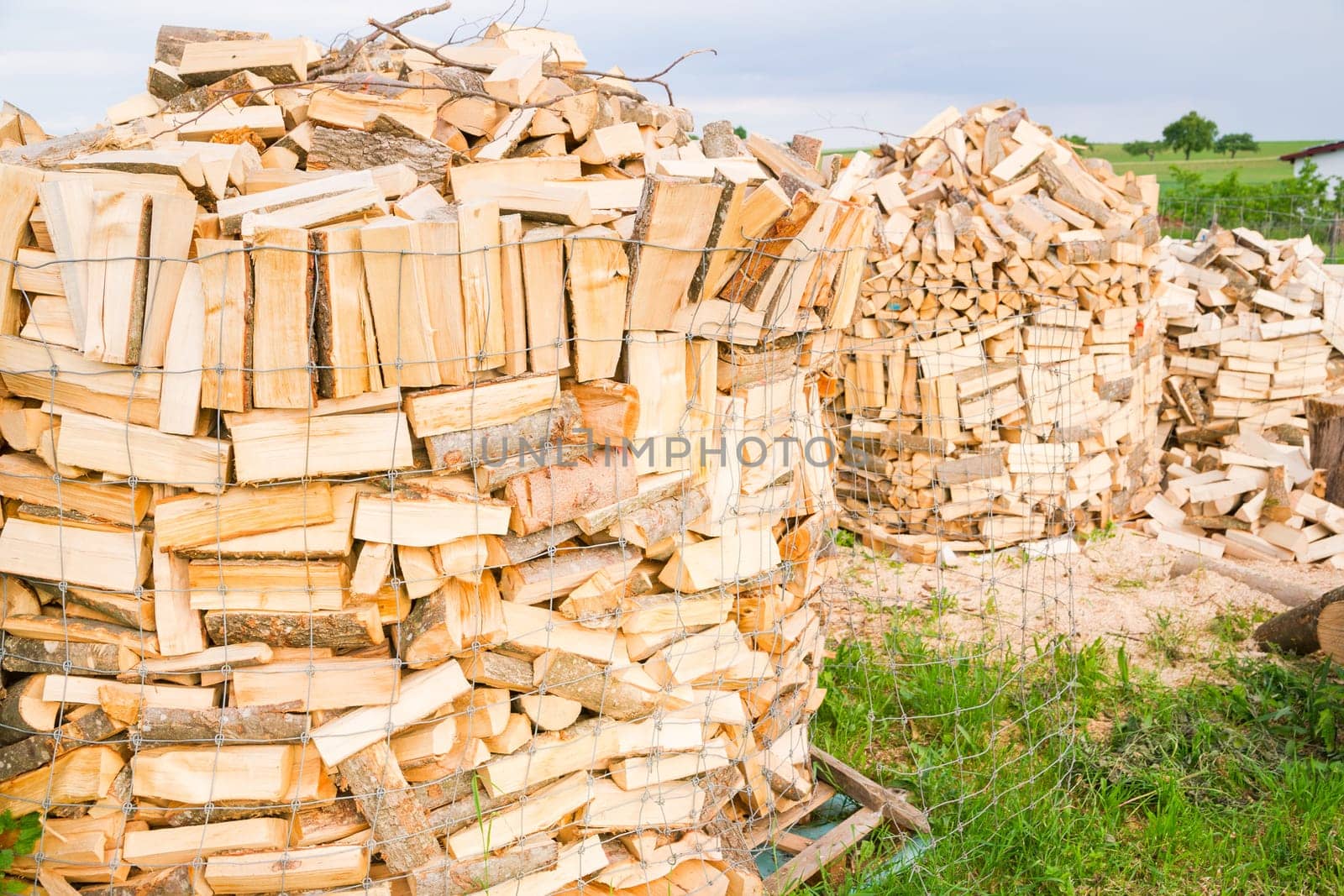 Logs in a metal grid cage on a lumber yard