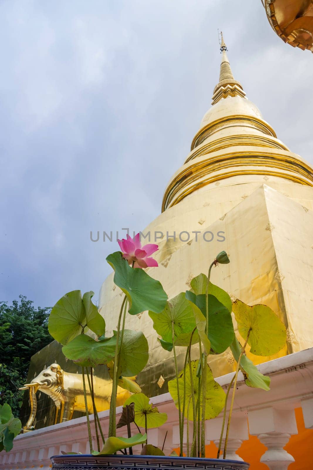 Wat Pra Singh beautiful temple in Chiang Mai, Thailand, stock photo