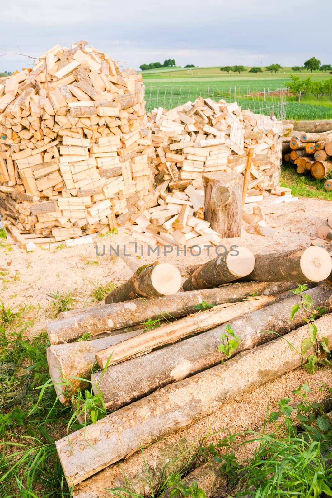 Timber logs on a lumberyard in a springtime field environment