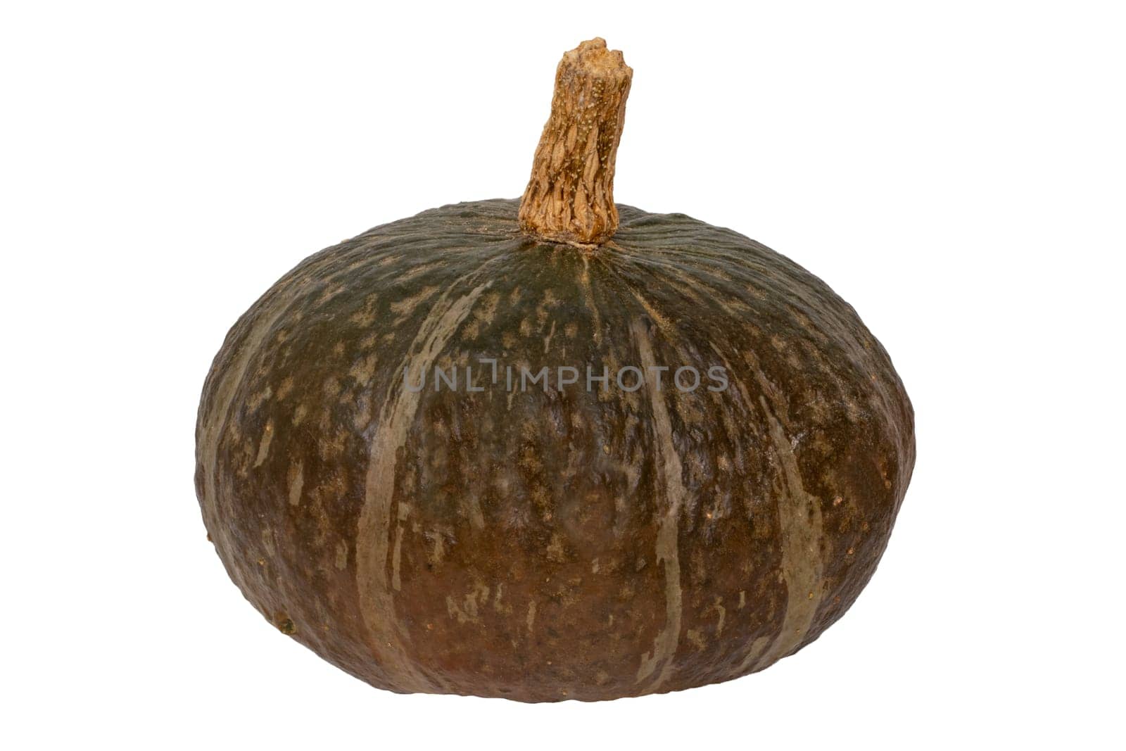 Pumpkin isolated. Close-up of a green Blue Kuri pumpkin isolated on a white background. Healthy nutrition. Macro.