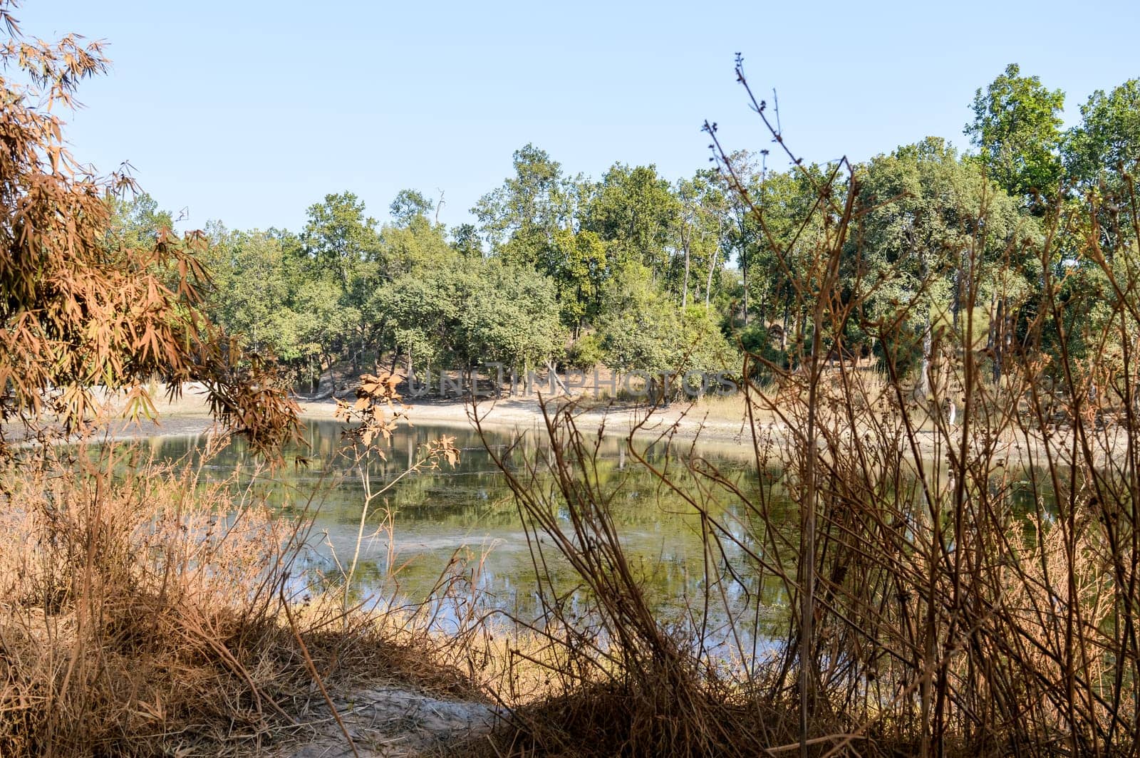 Lake Landscape view at coastal areas of Vindhya Hills inside Bandhavgarh National park, Madhya Pradesh, India.