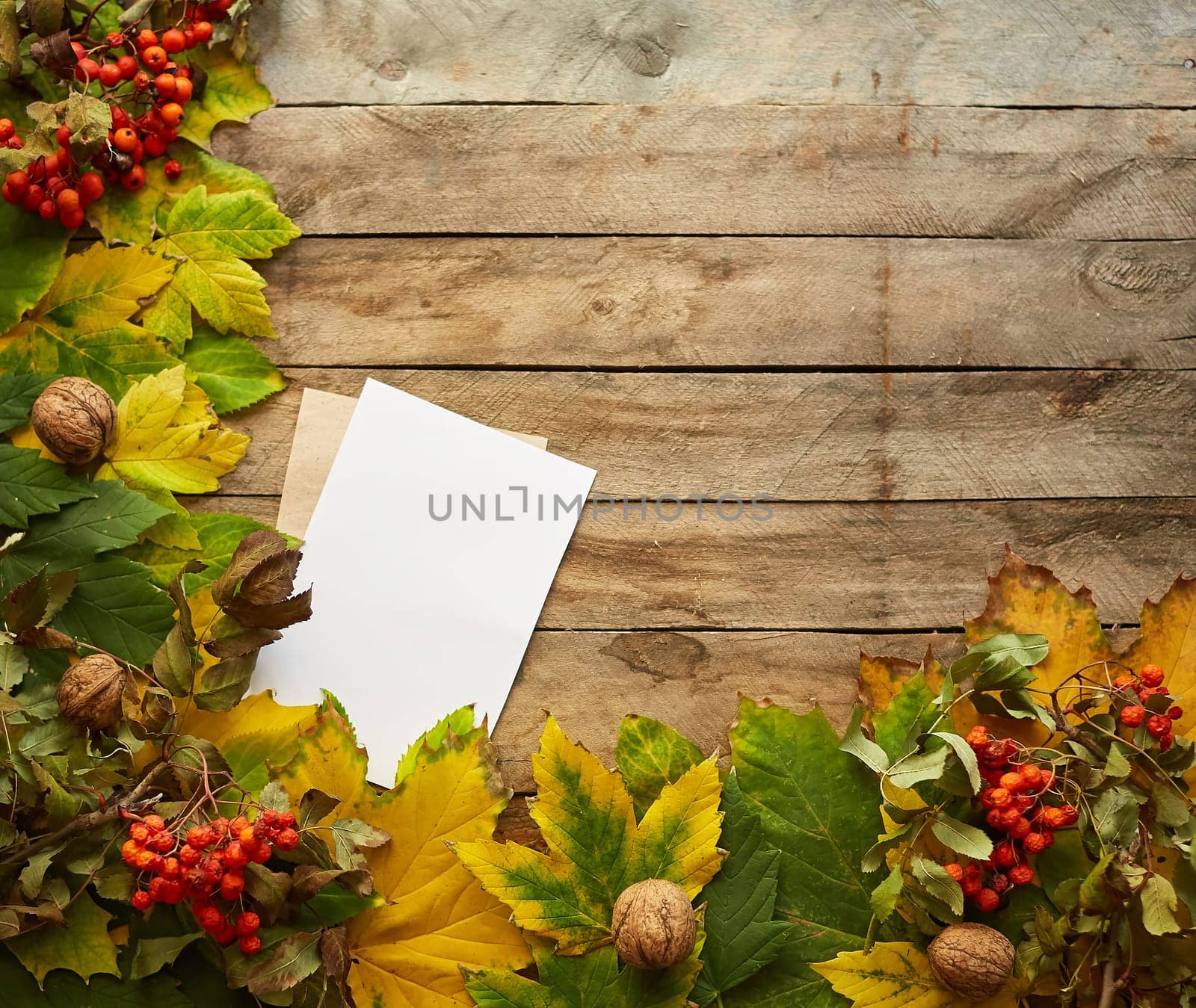 Autumn composition of colored leaves. Frame of autumn decor Poster card with yellow leaves on a wooden background. Flat lay, top view, copy space