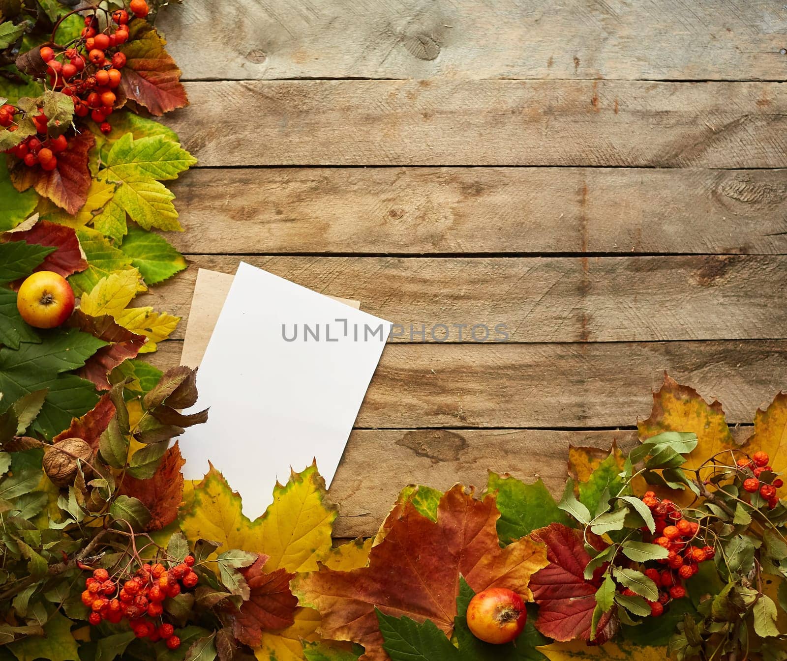 Autumn composition of colored leaves. Frame of autumn decor Poster card with yellow leaves on a wooden background. Flat lay, top view, copy space