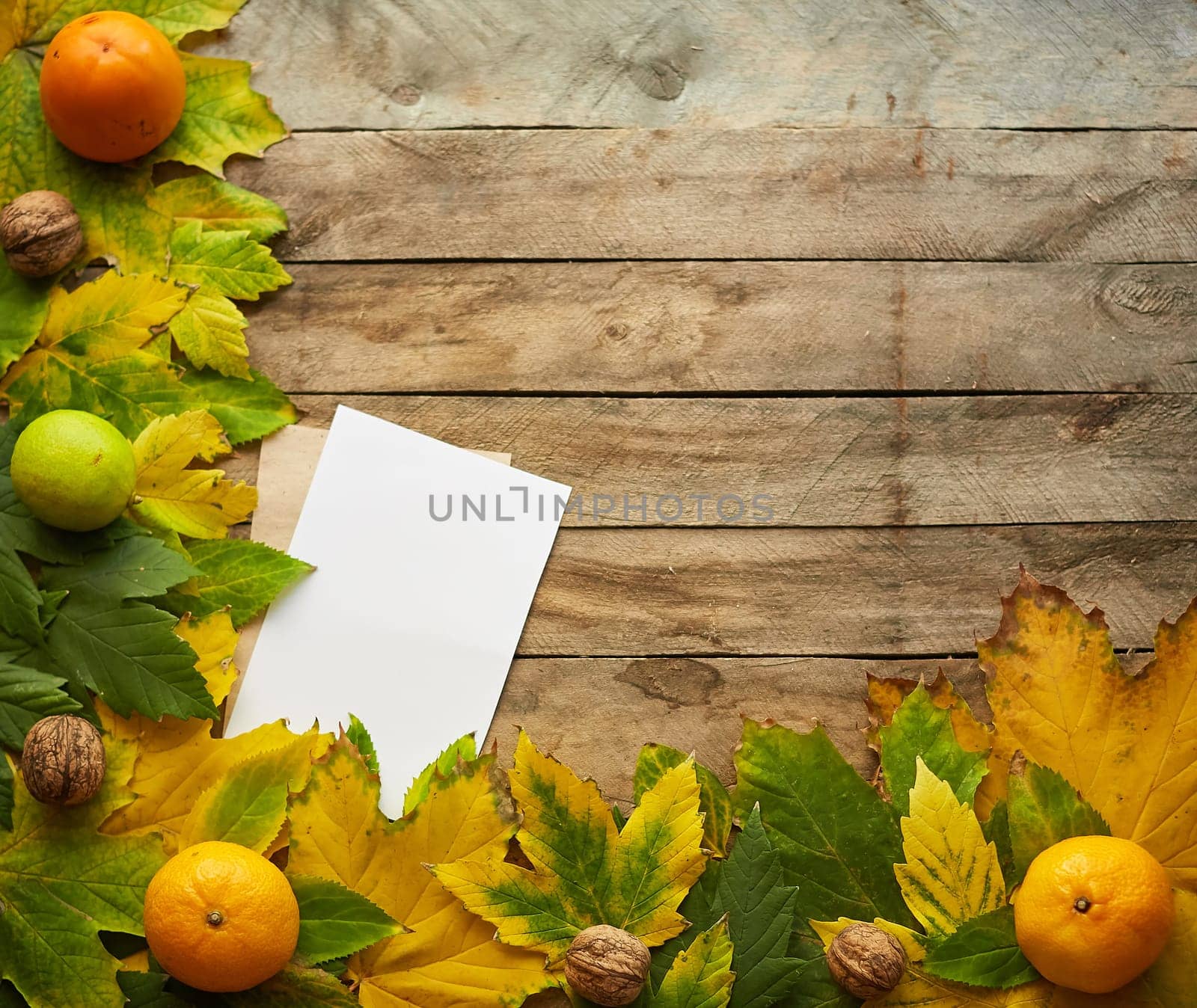 Autumn composition of colored leaves. Frame of autumn decor Poster card with yellow leaves on a wooden background. Flat lay, top view, copy space