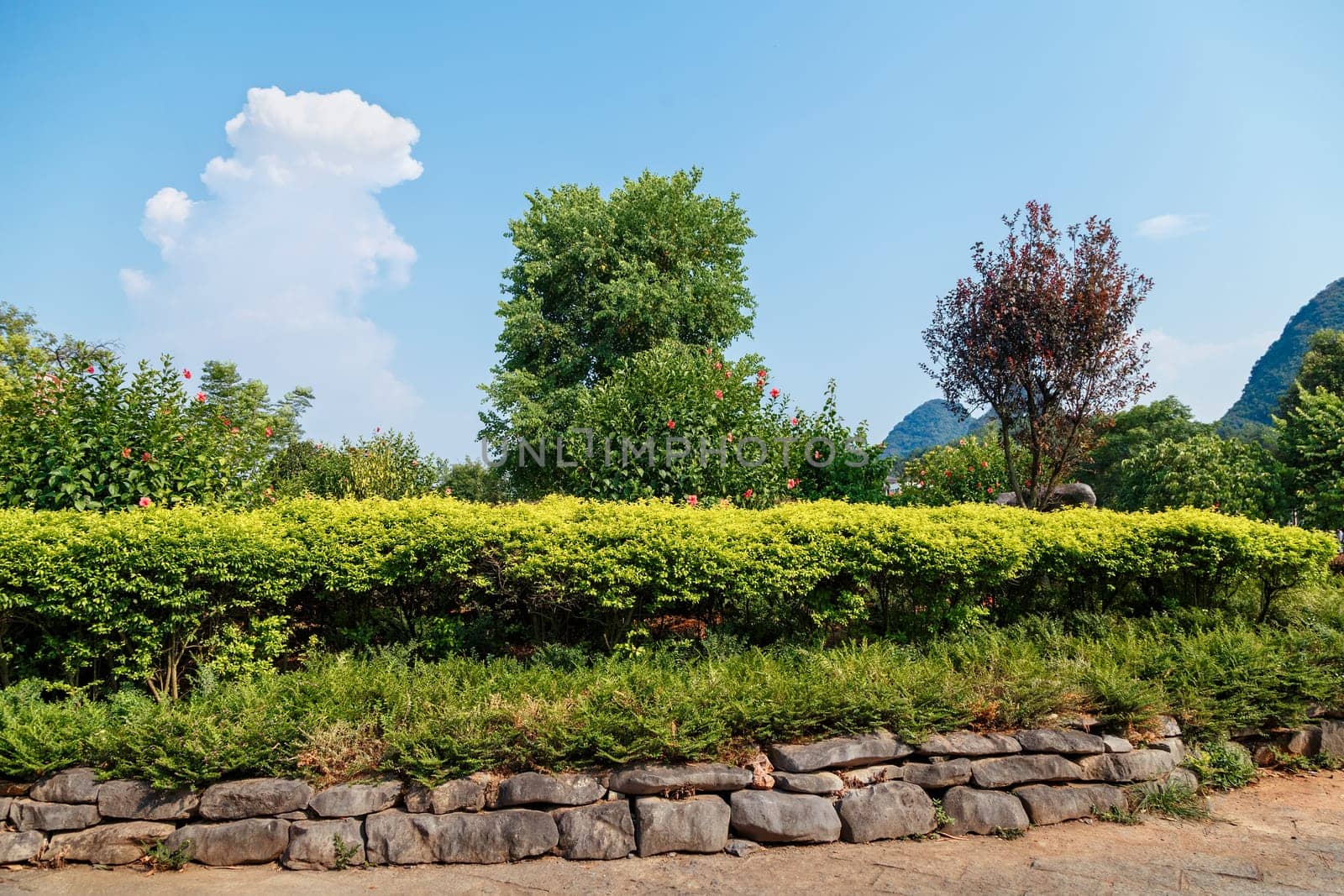 Scenic area in a tropical plant park on a clear sunny day, Yangshuo, China