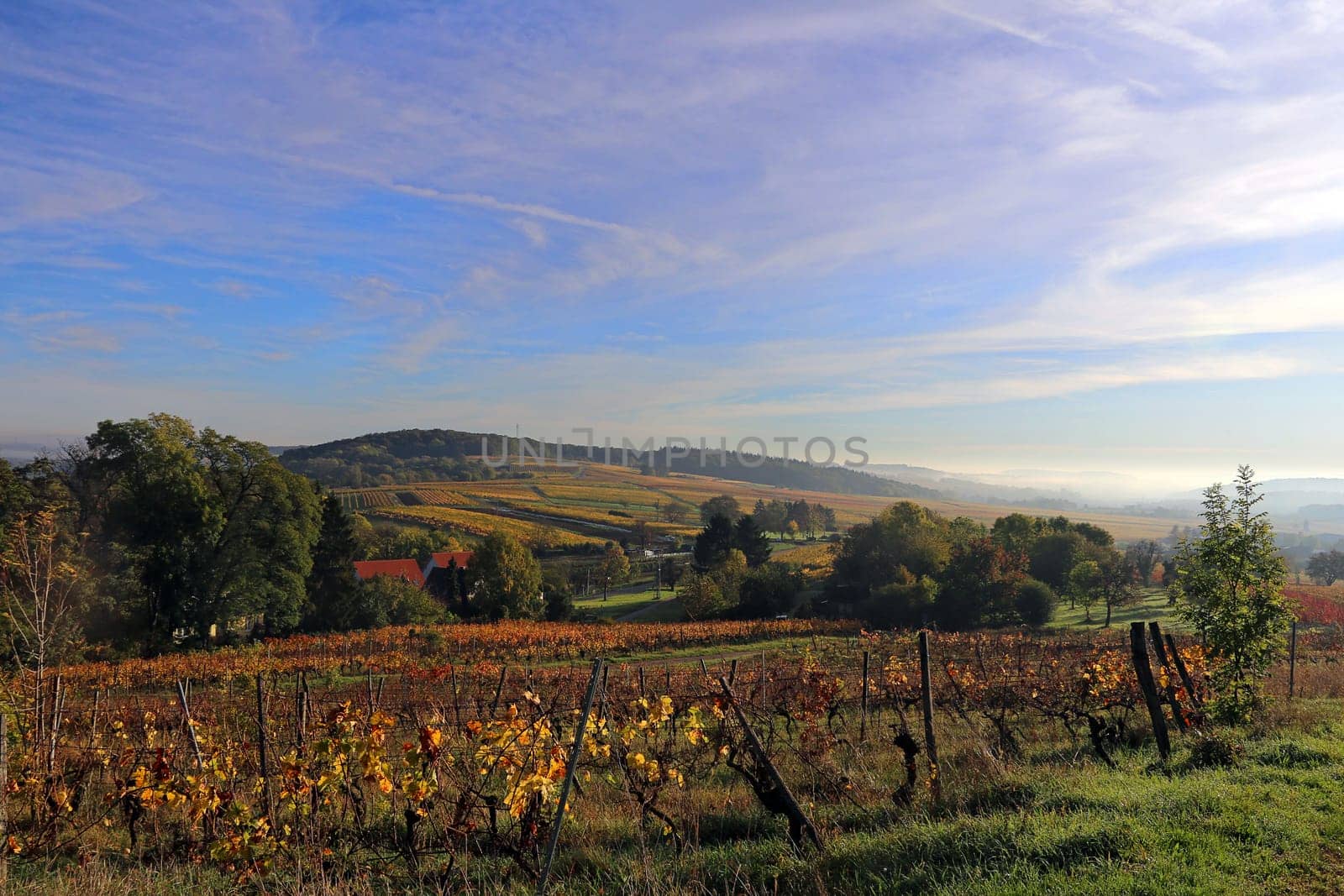 View from Letzenberg to the northeast