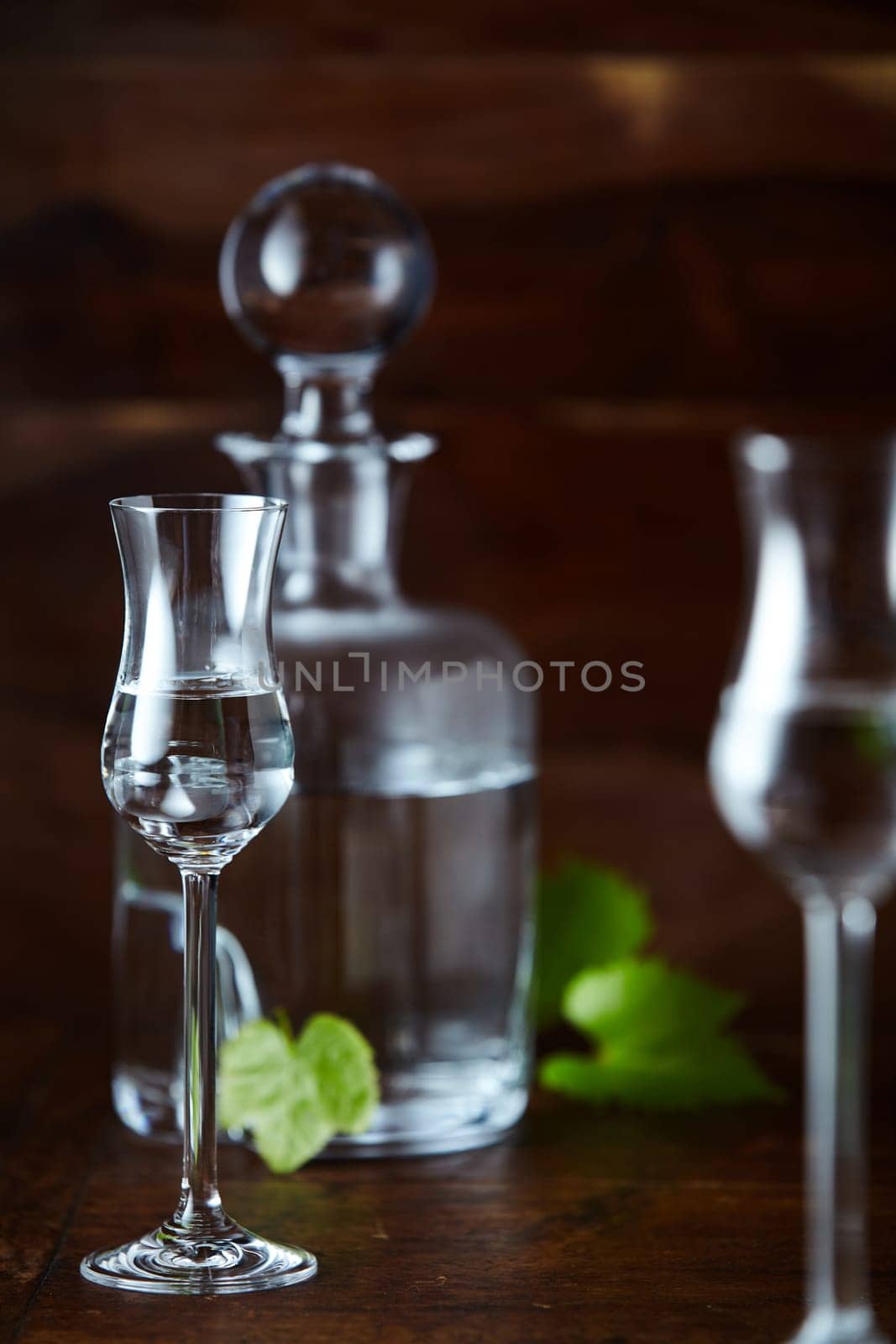 Still life of grappa in tulip glasses and decanter, decorated with fresh green grape leaves, on dark lacquered counter, viewed in close-up
