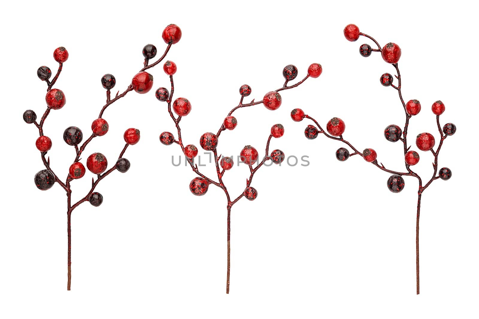Set of decorative branches with red rosehip berries isolated. Christmas decoration