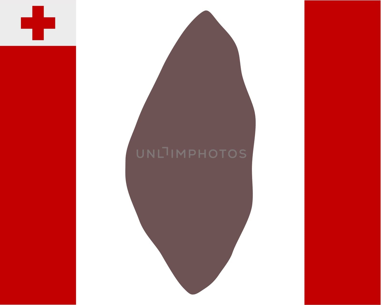Landkarte von Tonga auf Hintergrund mit Fahne