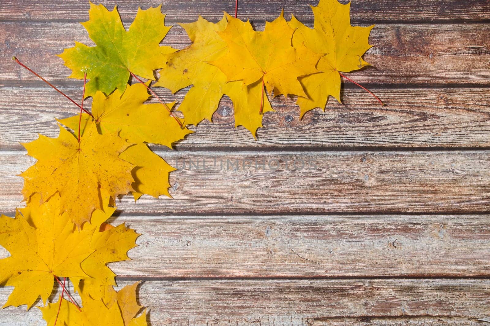fallen leaves on wooden background, top view, copy space