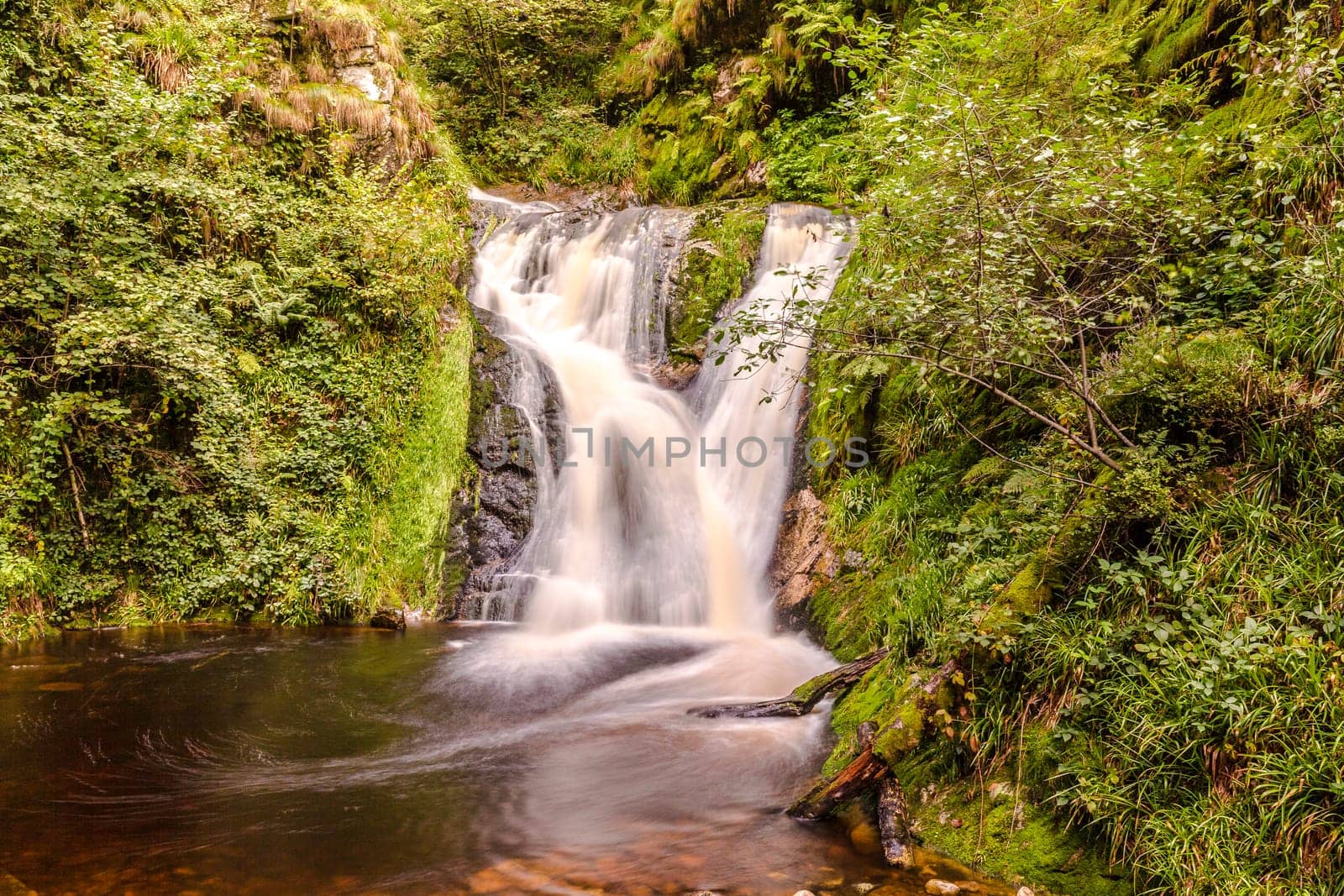 Idyllic forest waterfall in Arheiligen Schwarzwald Germany