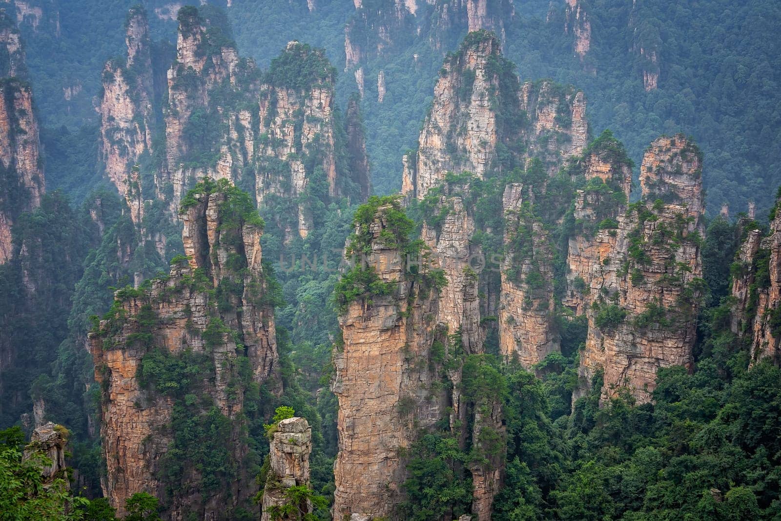 Panoramic view of the stone pillars of Tianzi mountains in Zhangjiajie National park, a famous tourist attraction, Wulingyuan, Hunan Province, China