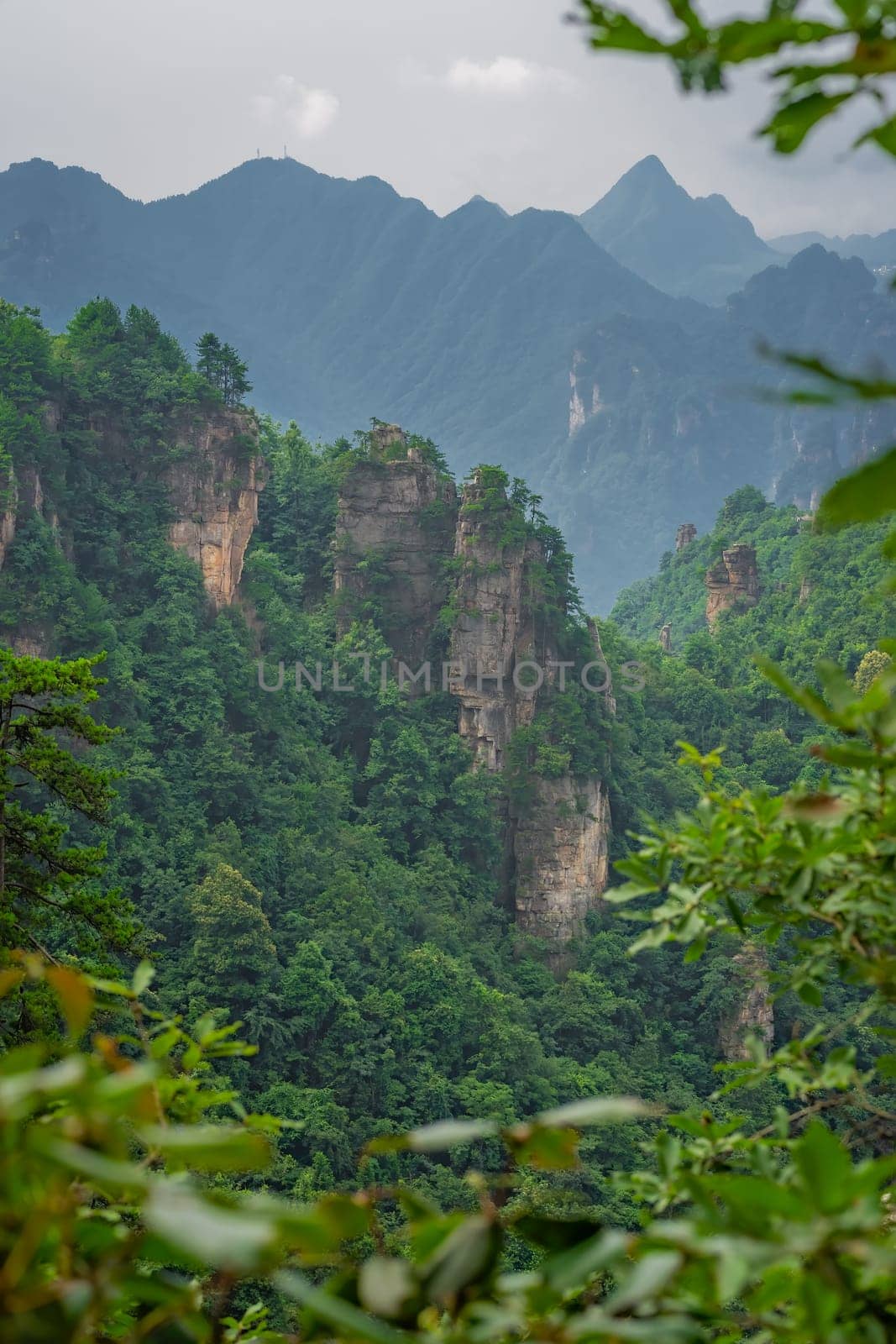 Vertical view of the stone pillars of Tianzi mountains in Zhangjiajie National park which is a famous tourist attraction, Wulingyuan, Hunan Province, China