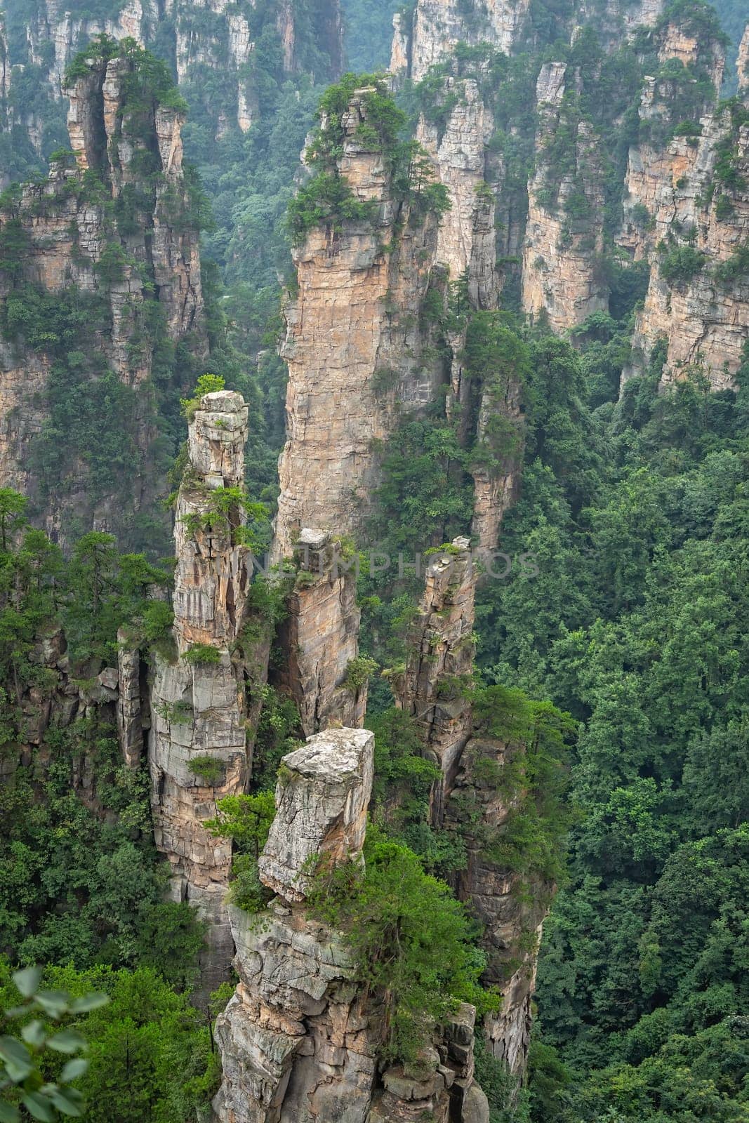 Vertical view of the stone pillars of Tianzi mountains in Zhangjiajie National park which is a famous tourist attraction, Wulingyuan, Hunan Province, China