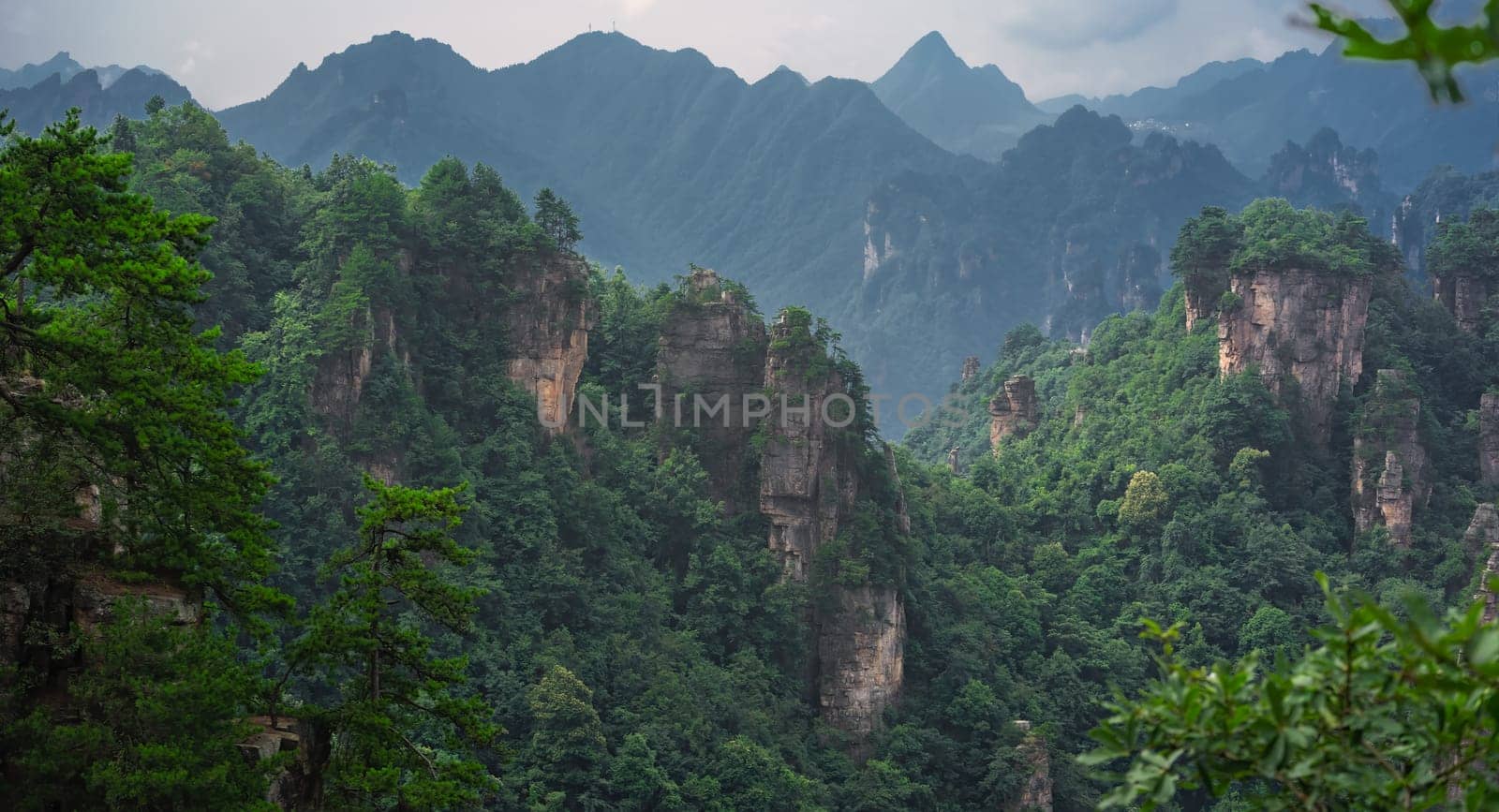 Panoramic view of the stone pillars of Tianzi mountains in Zhangjiajie National park which is a famous tourist attraction, Wulingyuan, Hunan Province, China