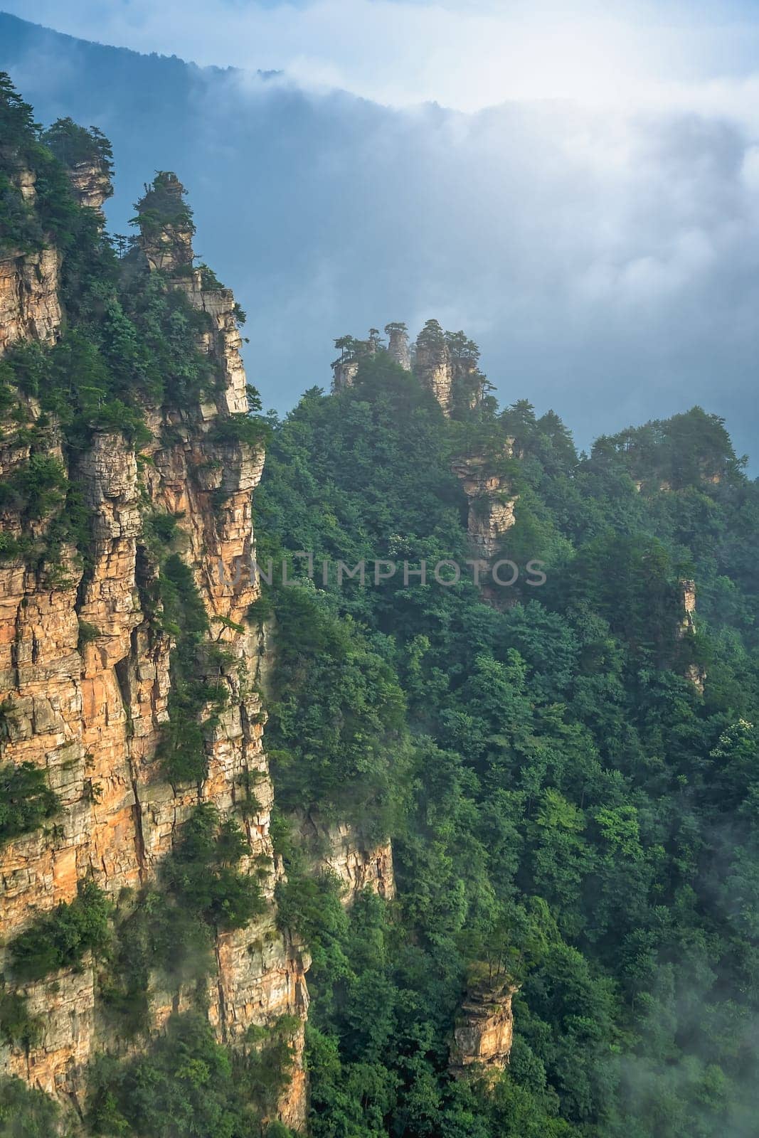 Vertical view of the stone pillars of Tianzi mountains in Zhangjiajie National park which is a famous tourist attraction, Wulingyuan, Hunan Province, China