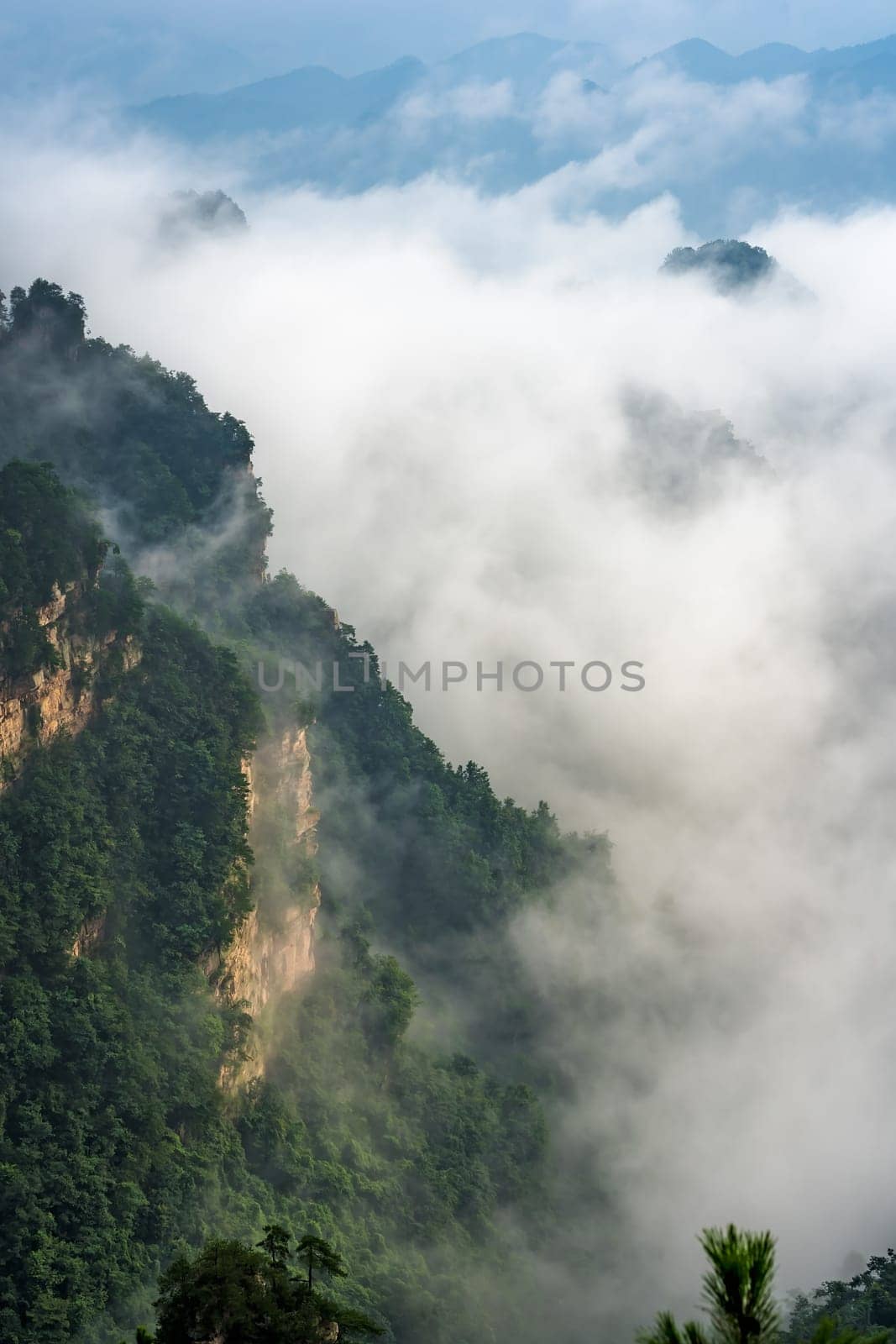 Vertical view of the low morning clouds engulfing stone pillars of Tianzi mountains in Zhangjiajie National park, a famous tourist attraction, Wulingyuan, Hunan Province, China