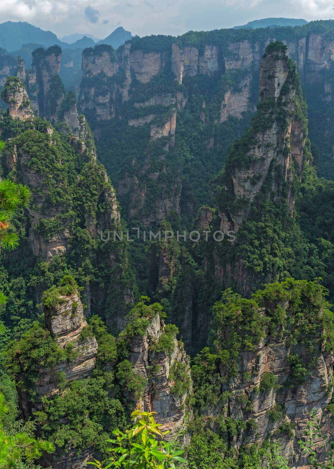 Vertical karst pillar rock formations as seen from the Enchanting terrace viewpoint, Avatar mountains nature park, Zhangjiajie, China