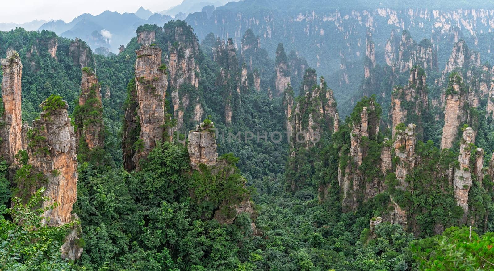 Panoramic view of the stone pillars of Tianzi mountains in Zhangjiajie National park which is a famous tourist attraction, Wulingyuan, Hunan Province, China