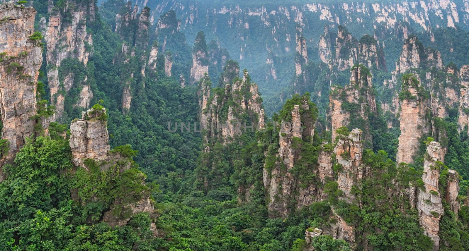Panoramic view of the stone pillars of Tianzi mountains in Zhangjiajie National park which is a famous tourist attraction, Wulingyuan, Hunan Province, China