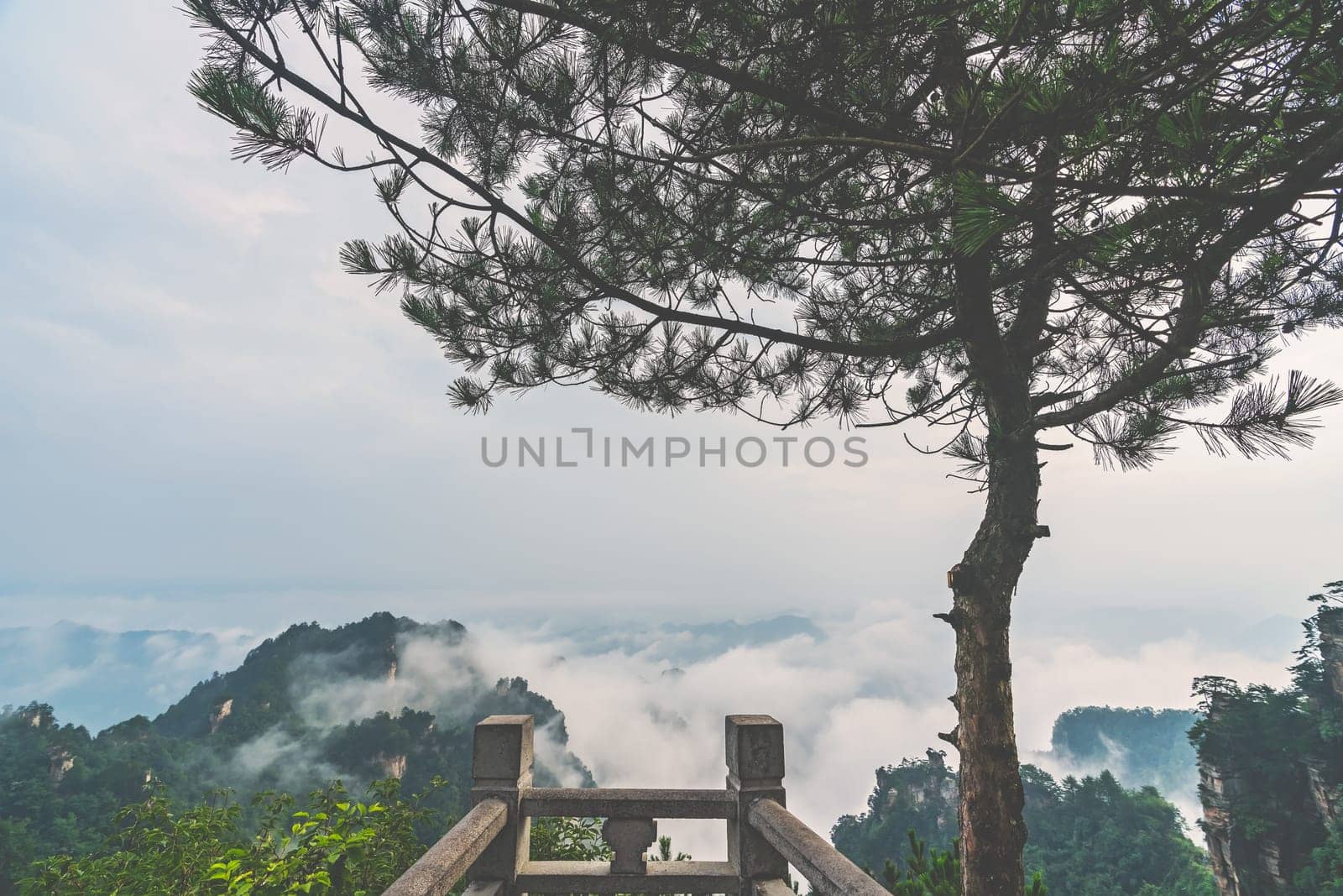 Stone barrier in the scenic spot lookout viewing platform in the Tianzi mountains in Zhangjiajie National park, famous tourist attraction, Wullingyuan, Hunan Province, China