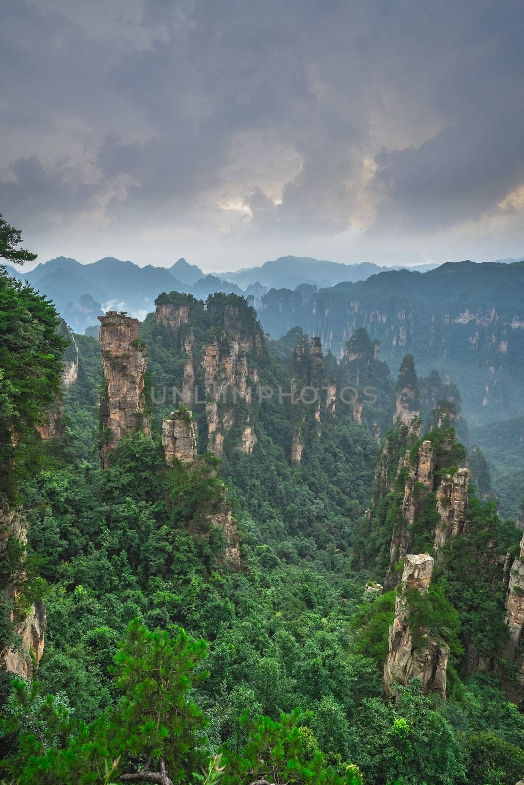 Stone pillars of Tianzi mountains in Zhangjiajie National park which is a famous tourist attraction, Wulingyuan, Hunan Province, China