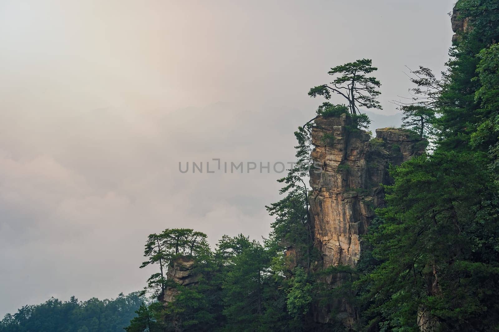 Morning misty and foggy view of the stone pillars of Tianzi mountains in Zhangjiajie National park, a famous tourist attraction, Wulingyuan, Hunan Province, China