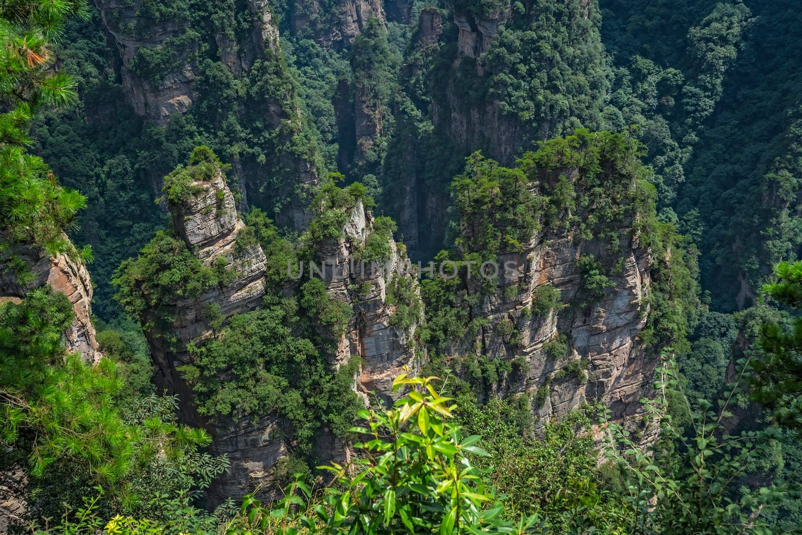 Vertical karst pillar rock formations as seen from the Enchanting terrace viewpoint, Avatar mountains nature park, Zhangjiajie, China
