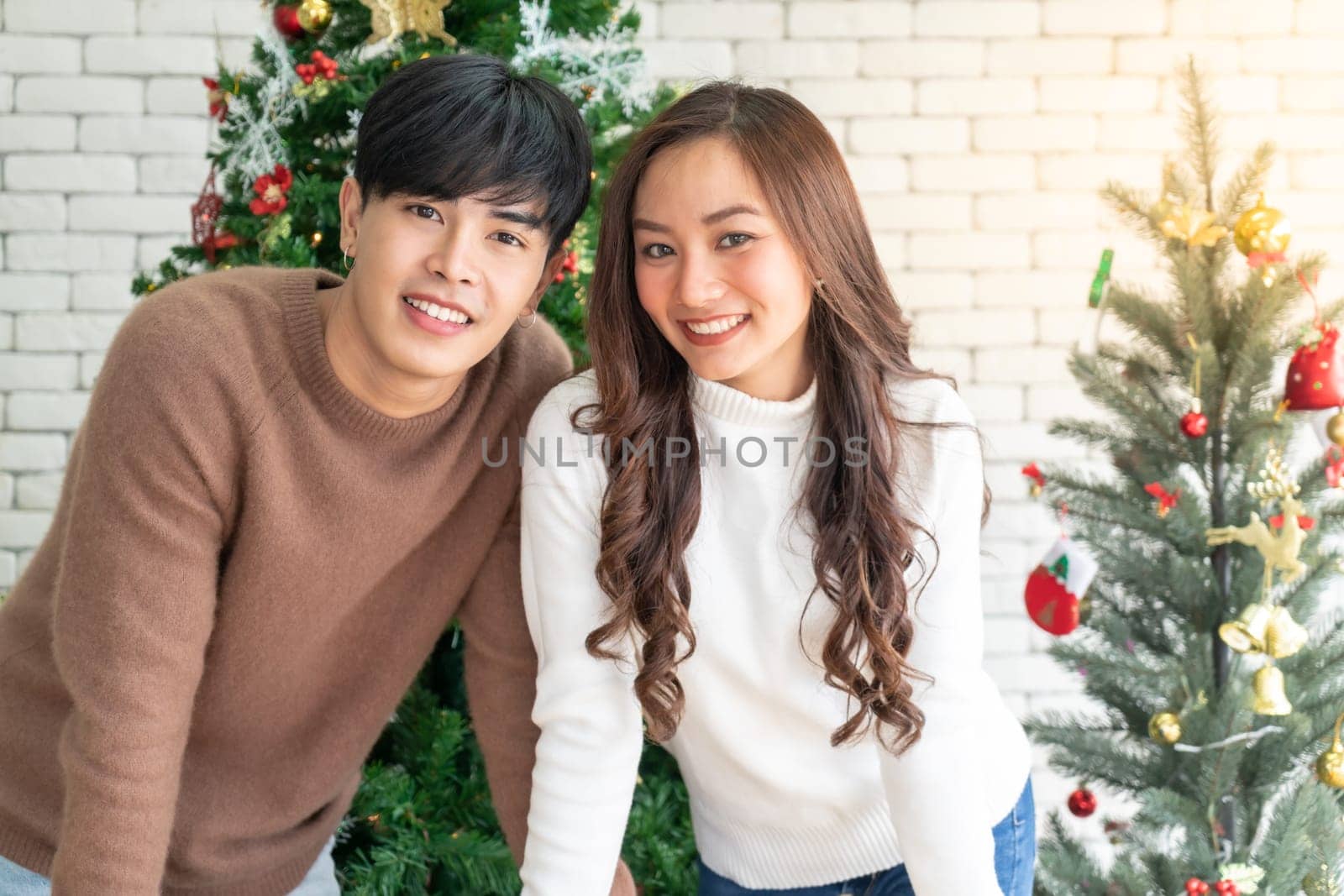 Portrait of couple celebraing Christmas festival holiday in living room with Christmas decoration Ornamental