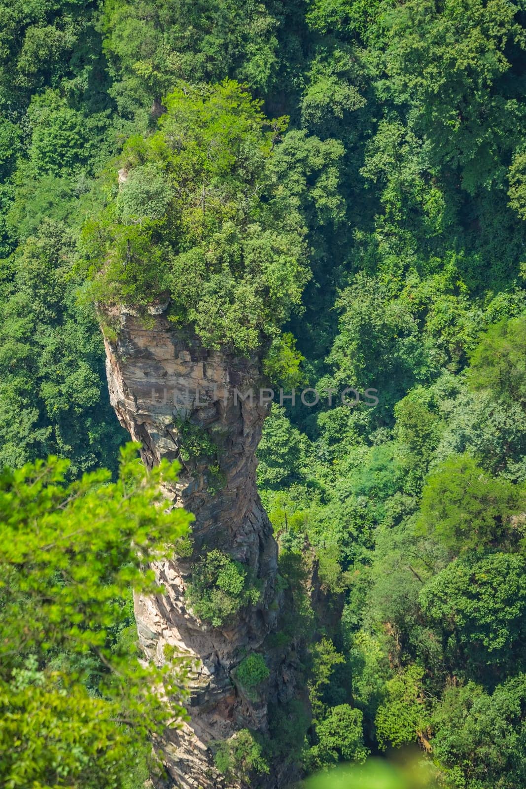 Vertical karst pillar rock formation as seen from the Enchanting terrace viewpoint, Avatar mountains nature park, Zhangjiajie, China