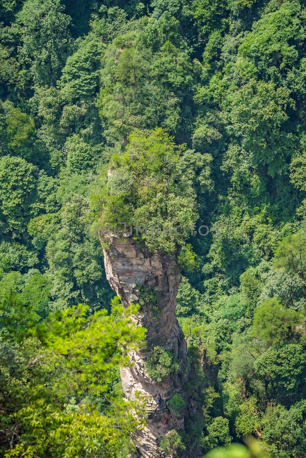 Vertical karst pillar rock formation as seen from the Enchanting terrace viewpoint, Avatar mountains nature park, Zhangjiajie, China