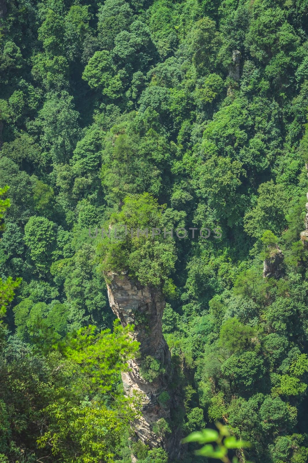 Vertical karst pillar rock formation as seen from the Enchanting terrace viewpoint, Avatar mountains nature park, Zhangjiajie, China