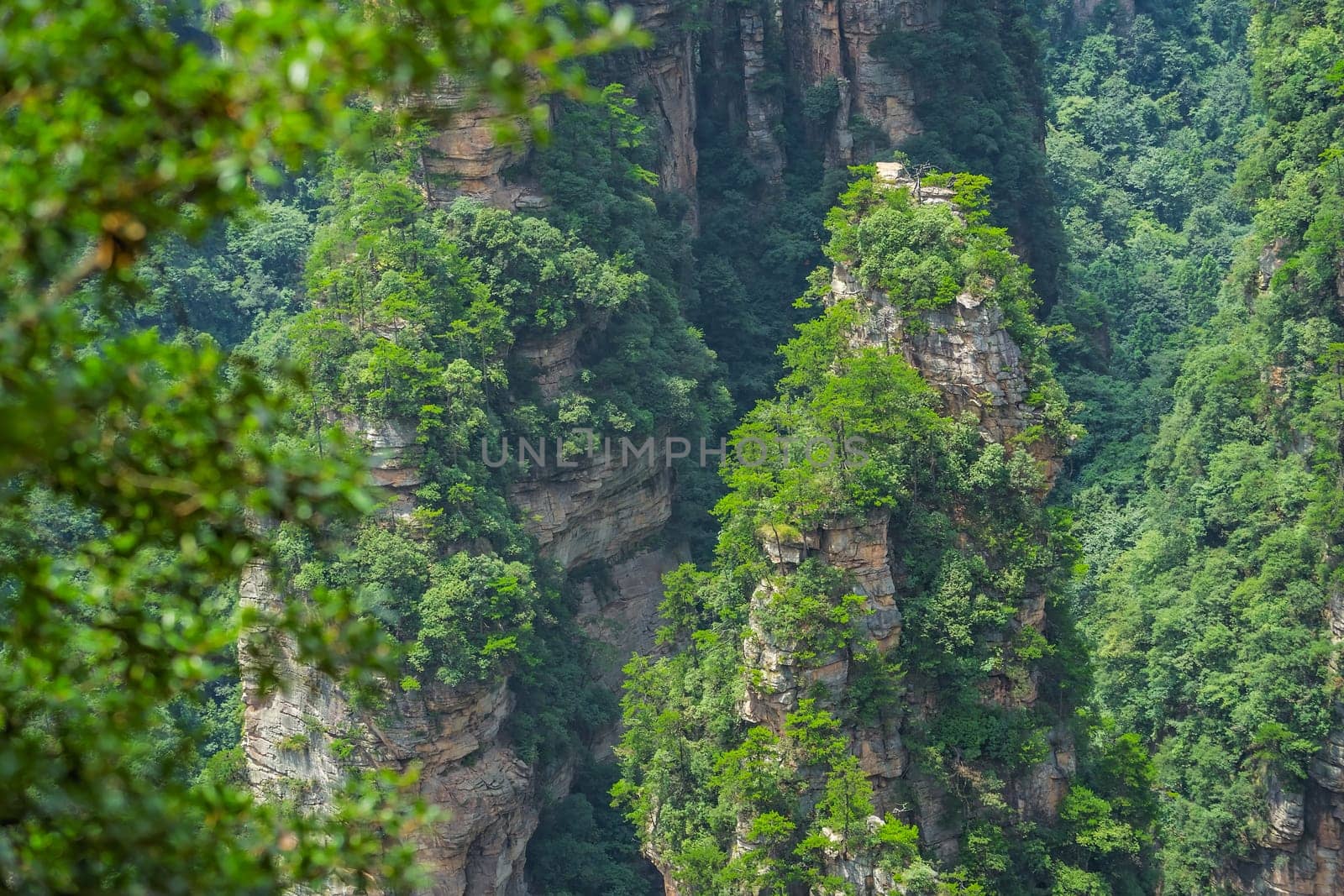 Vertical karst pillar rock formation as seen from the Enchanting terrace viewpoint, Avatar mountains nature park, Zhangjiajie, China
