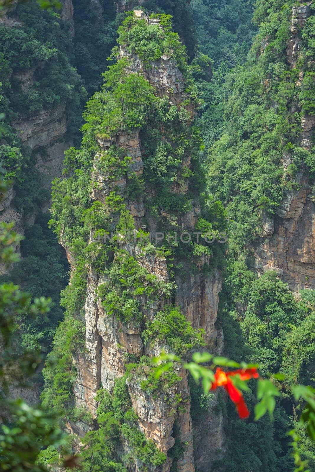 Defocused memorial religious red ribbon attached to a leafy tree branch in front of vertical karst pillar rock formation as seen from the Enchanting terrace viewpoint, Avatar mountains nature park, Zhangjiajie, China
