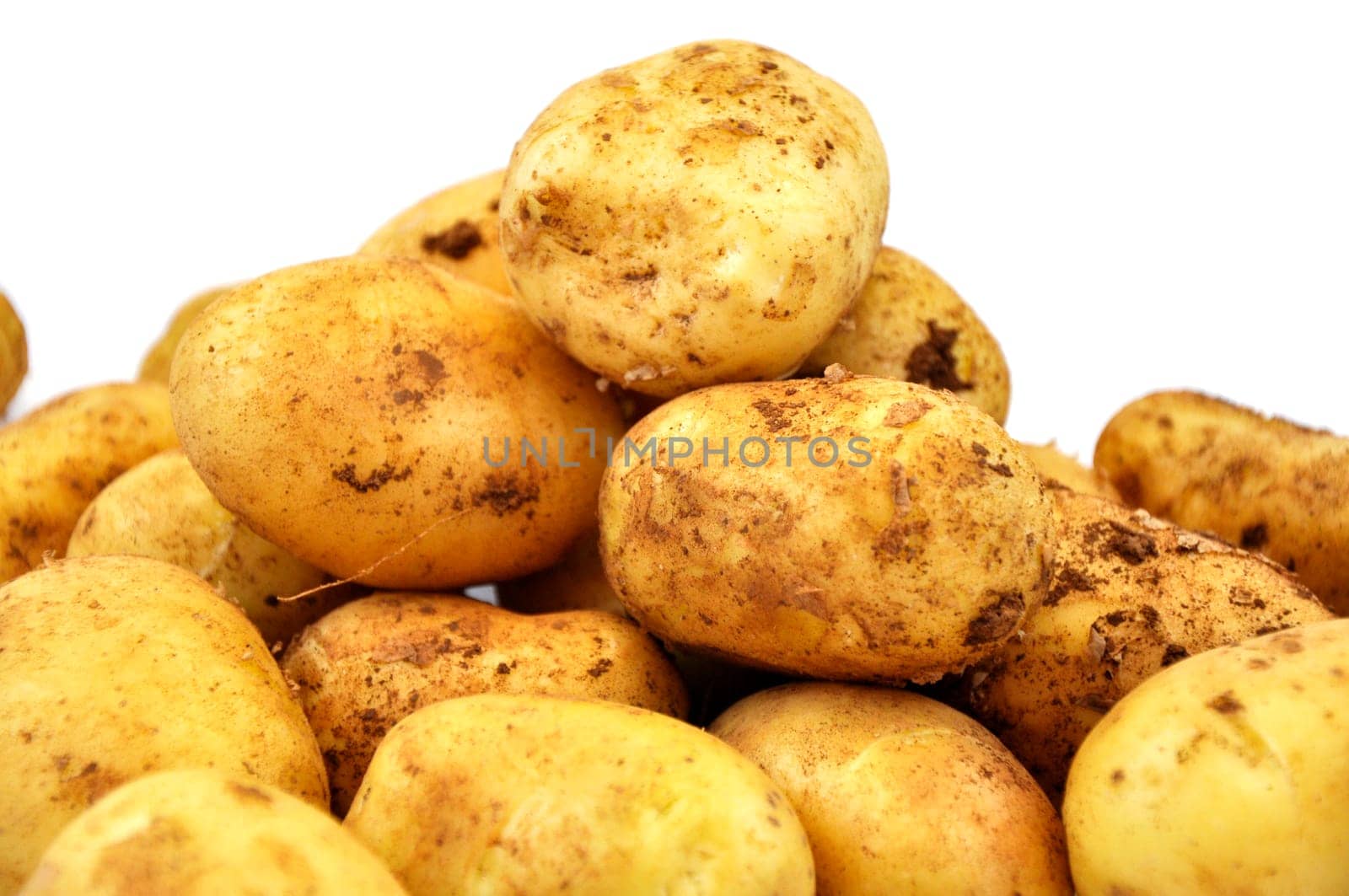 Fresh raw potato on white background