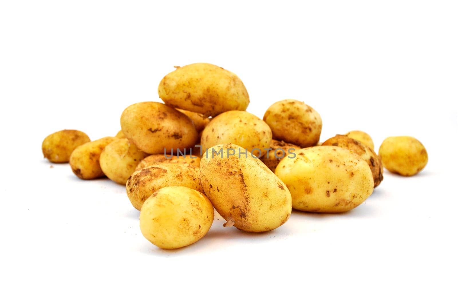 Fresh raw potato on white background
