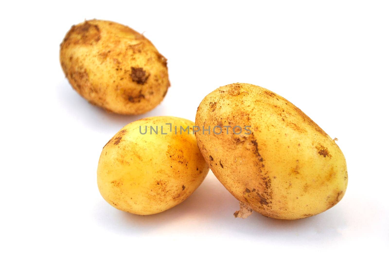 Fresh raw potato on white background