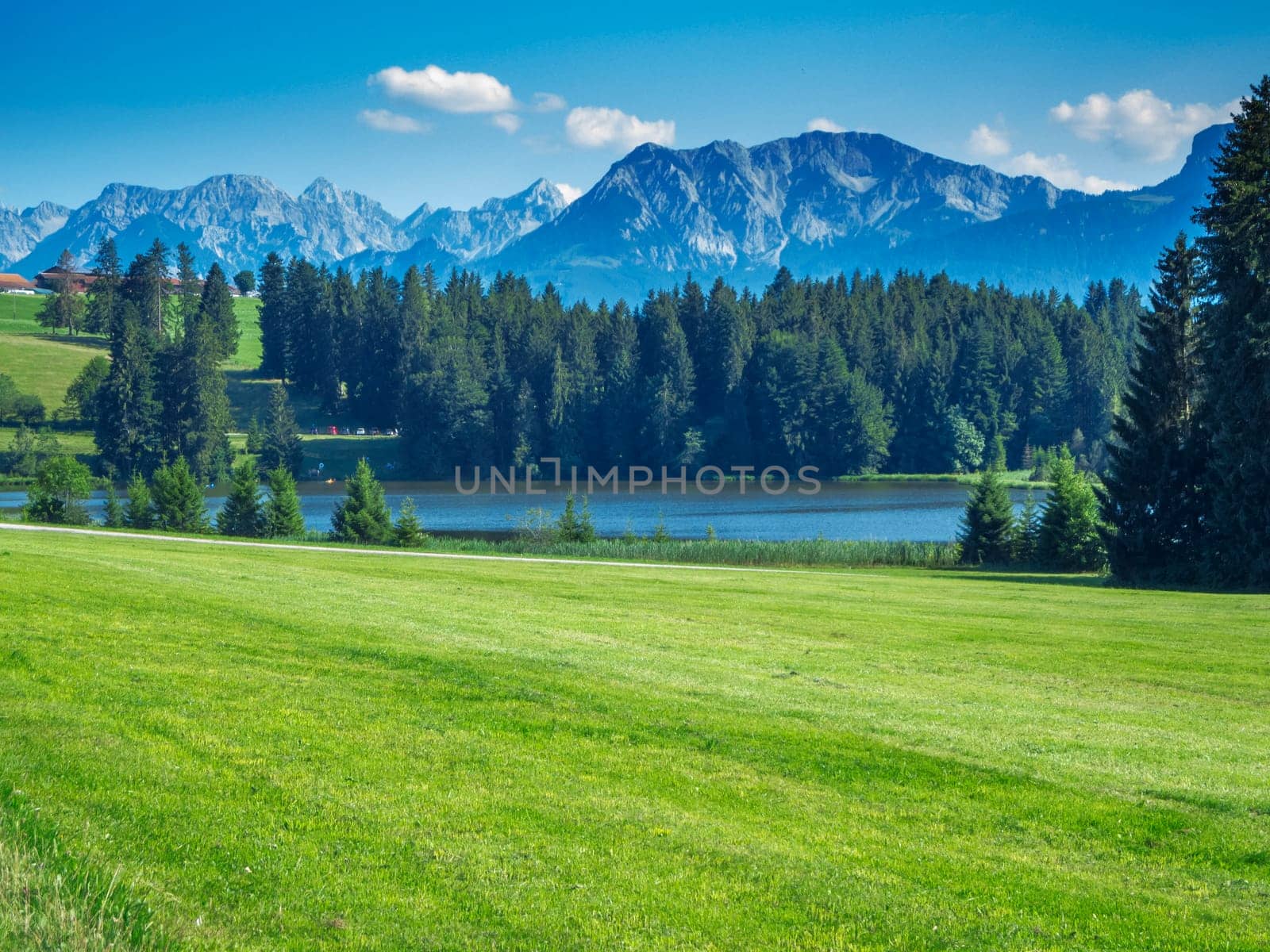 Landscape view of Kögelweiher with adjacent forest area and alpine mountains in Hintergrud in Bavaria in summer 2019.