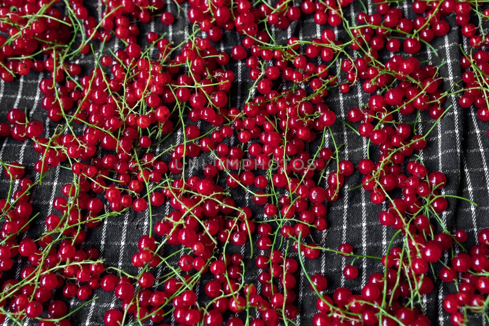 Red currant berries close up texture background. Red currant berry. Fresh red summer berries. Redcurrants top view