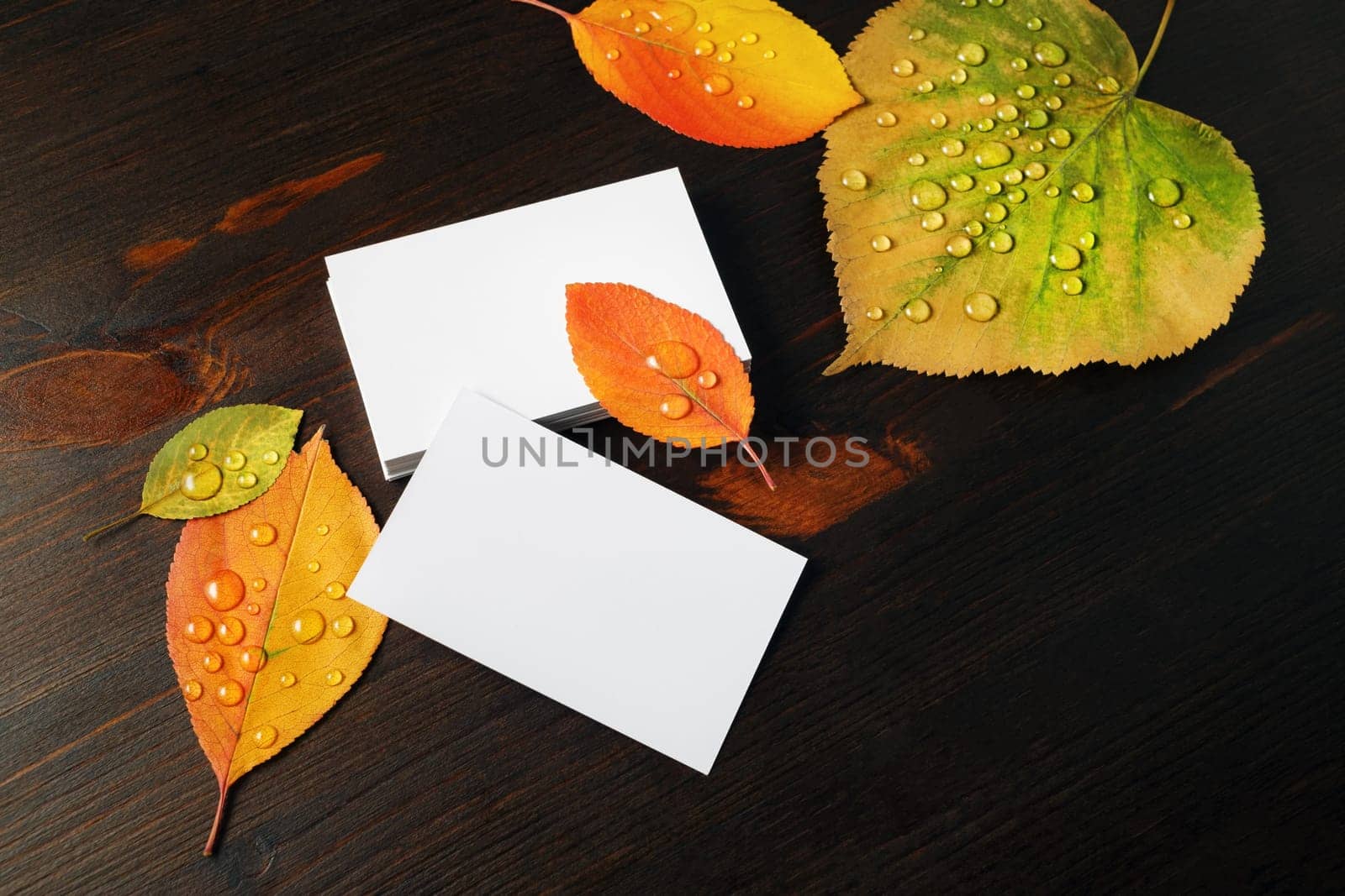 Photo of blank business cards and autumn leaves with water droplets on wood table background.