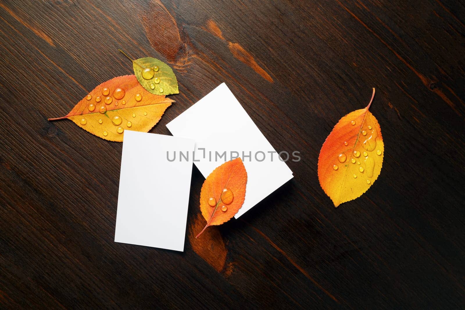 Blank white business cards and bright autumn leaves on wooden background. Flat lay.