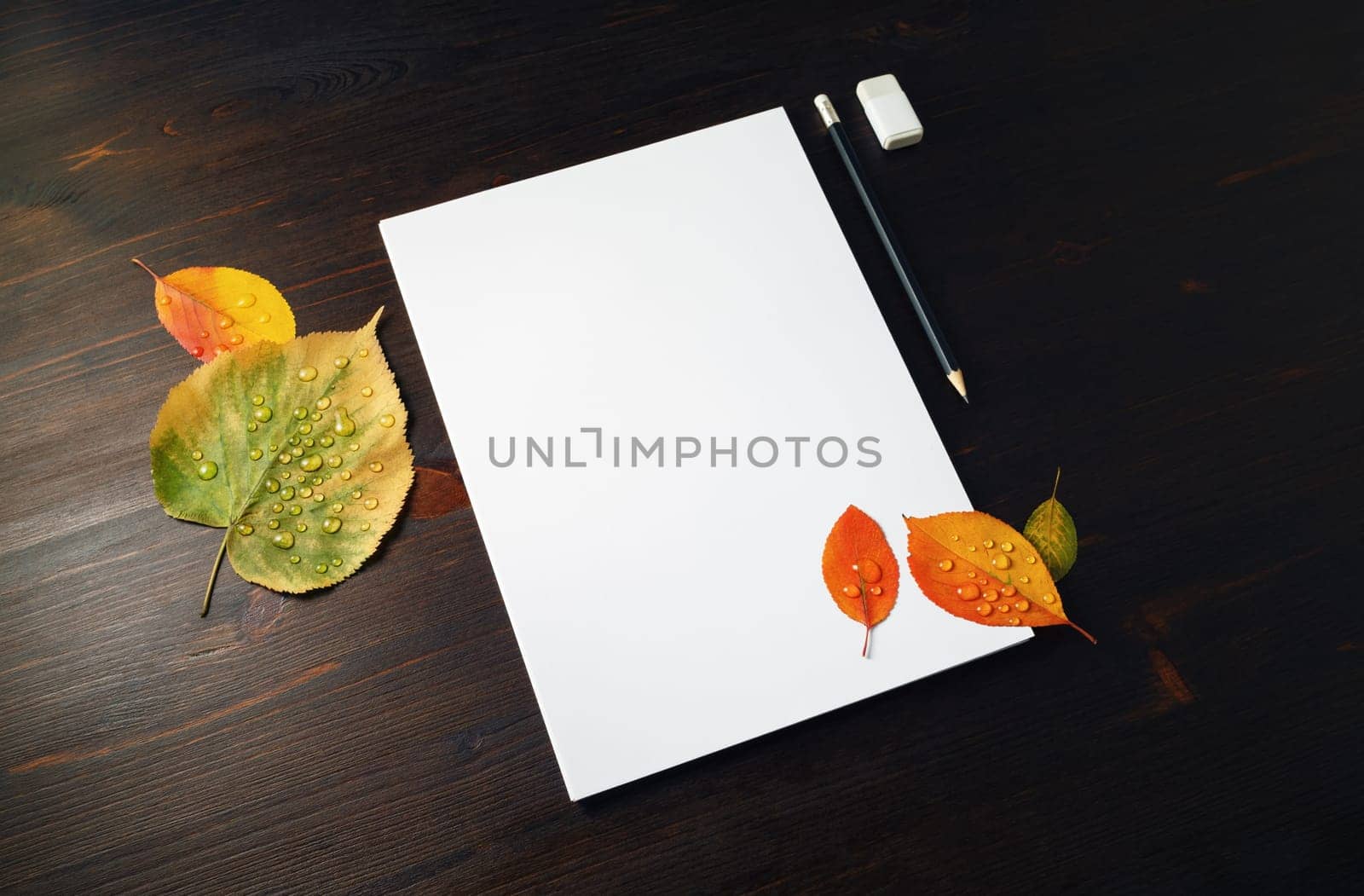 Blank stationery set: letterhead, pencil, eraser and autumn leaves with water droplets on wood table background. Template for placing your design.