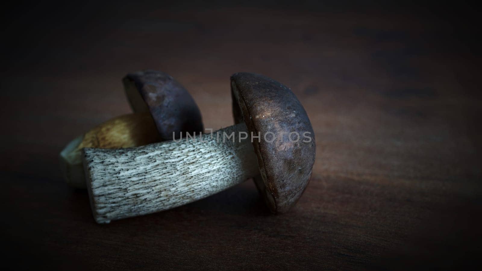 Birch mushroom (Leccinum scabrum) and a bay bolete (Imleria badia) on a kitchen table