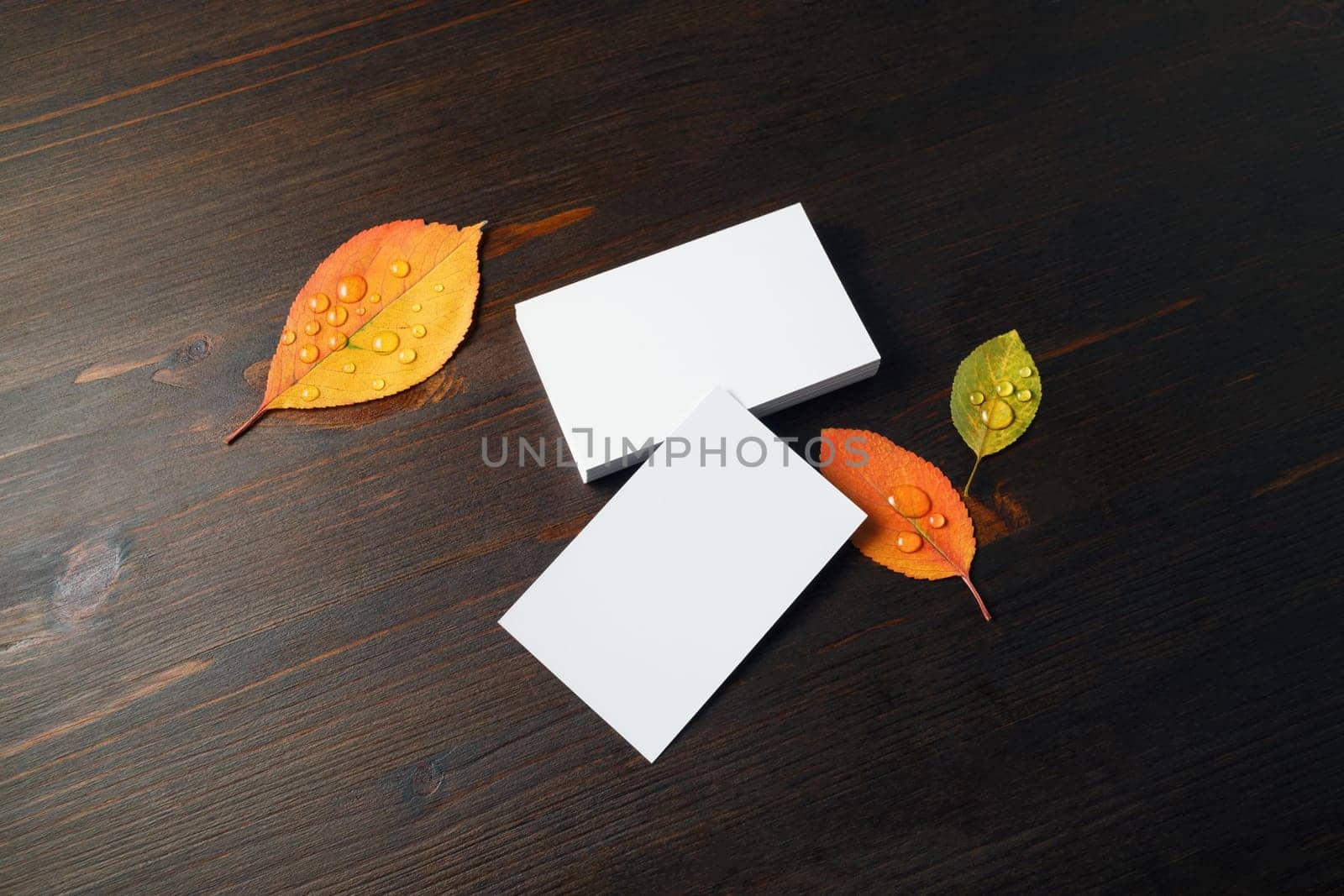 Photo of blank white business cards and autumn leaves on wooden background. Copy space for text.
