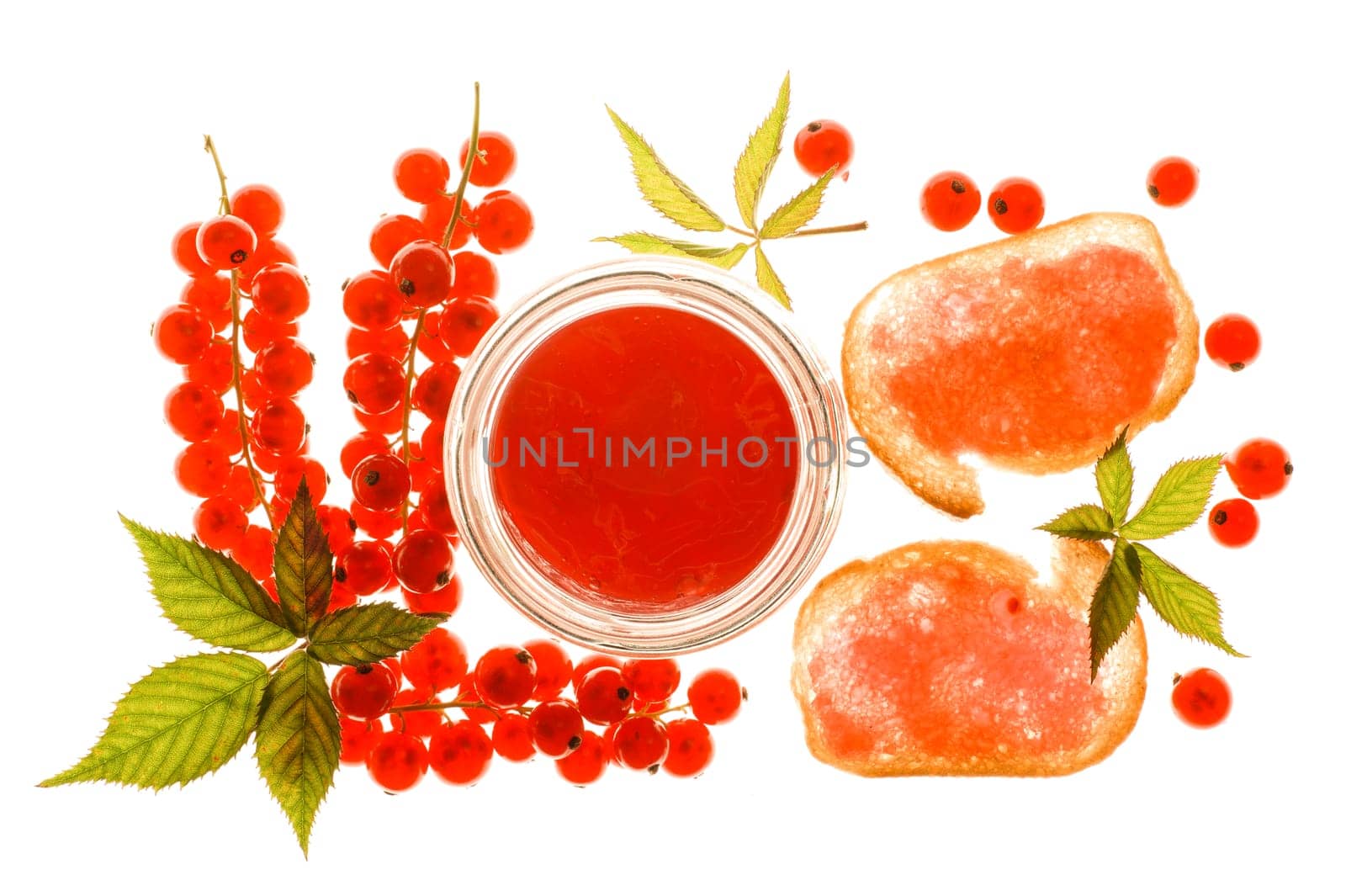 Red currant jelly with berries and jelly toast backlit on a lghtbox.
